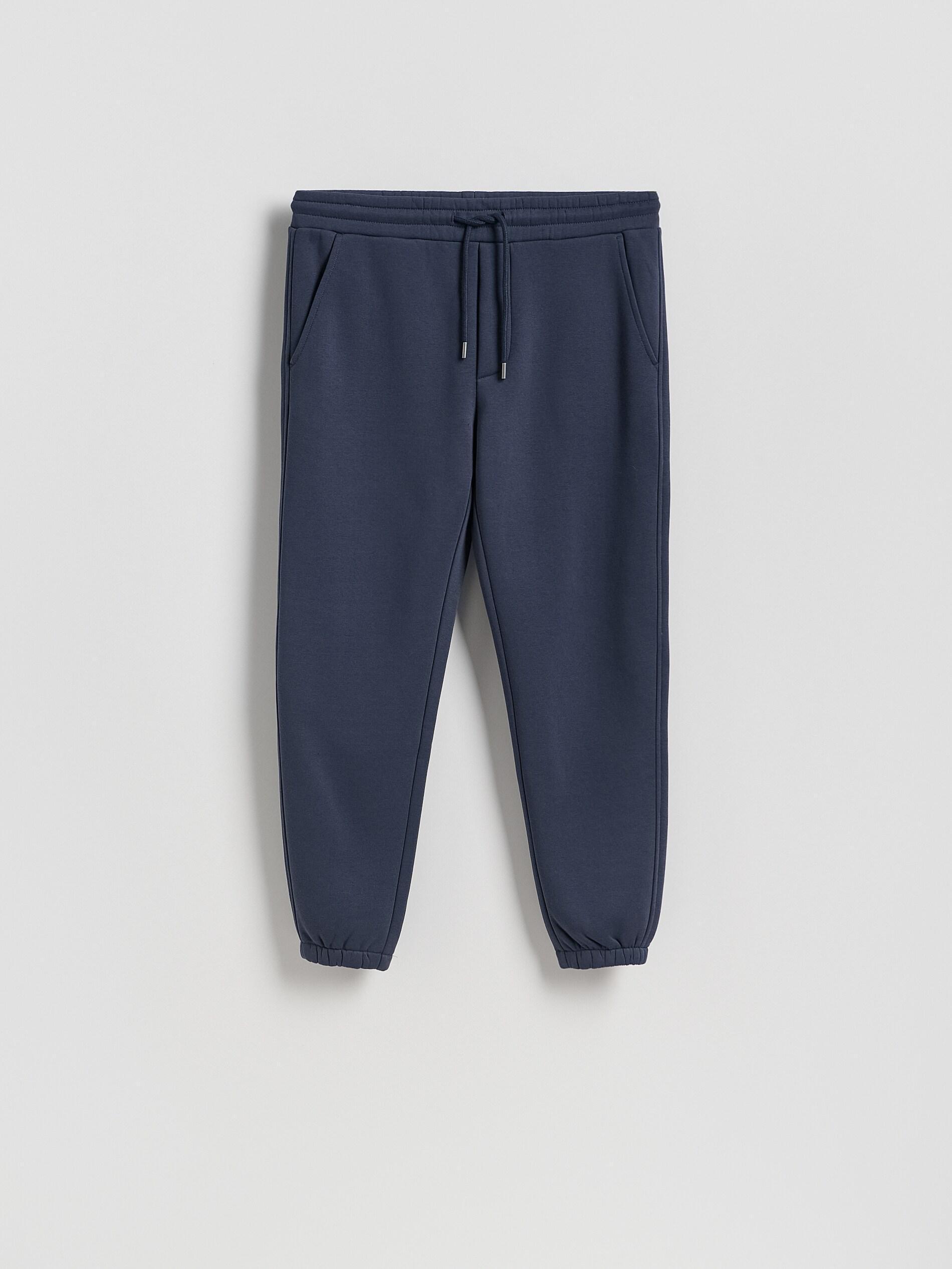 Navy Regular Fit Tracksuit Bottoms, Blue, medium