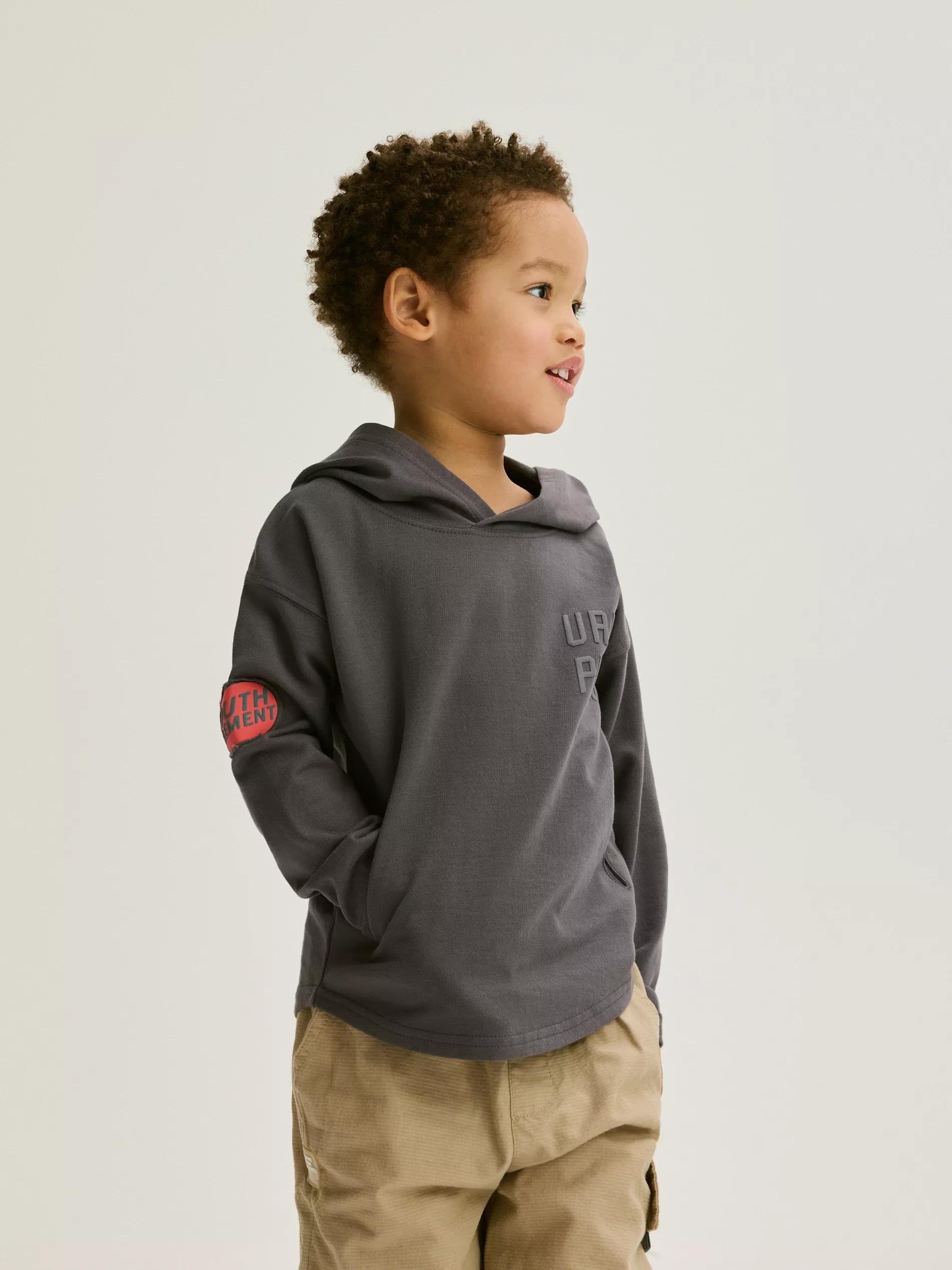 Grey Long-Sleeved Cotton T-Shirt With Hood, , large image number 0