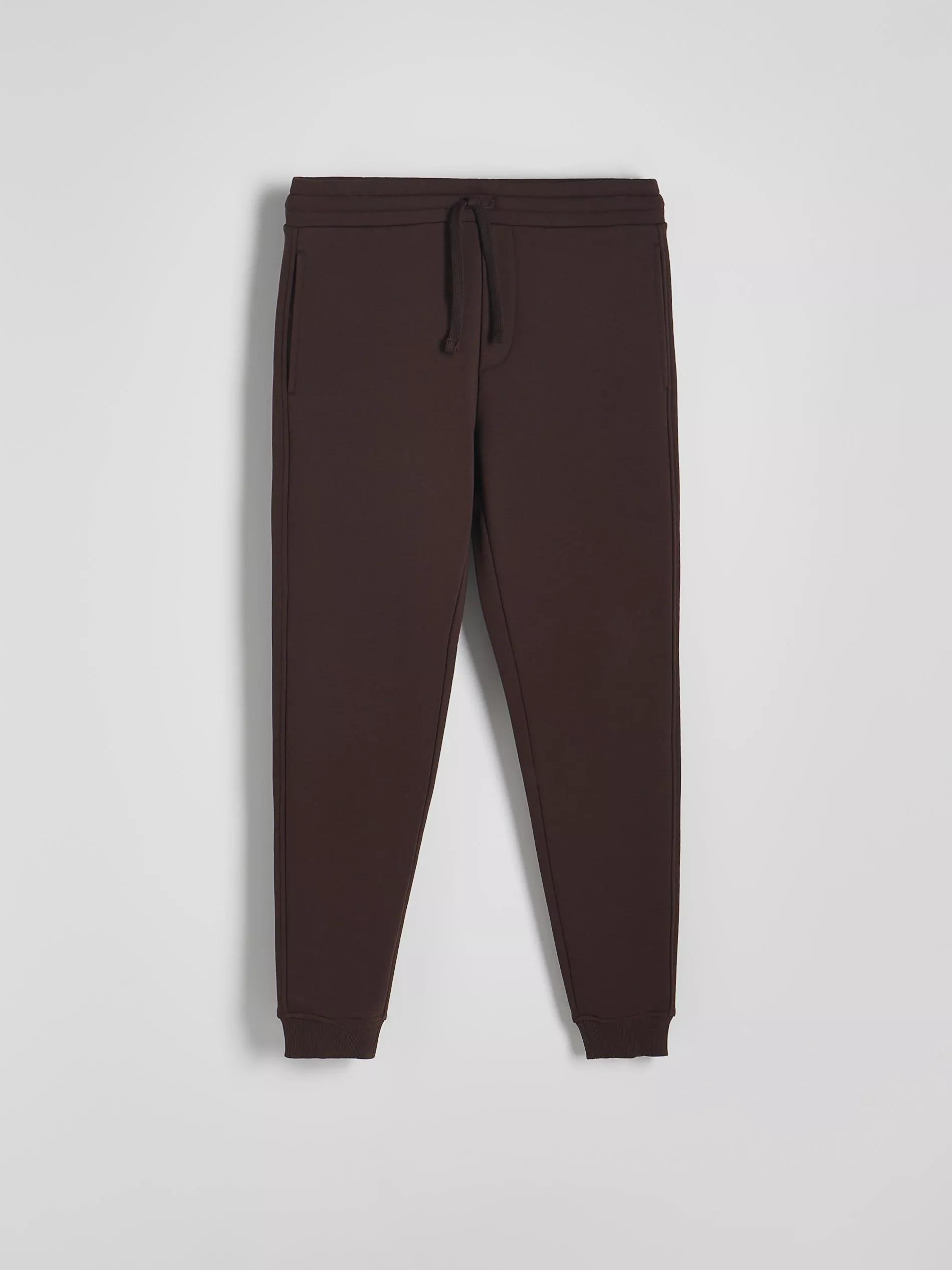 Brown Regular Fit Tracksuit Bottoms, , large image number 5