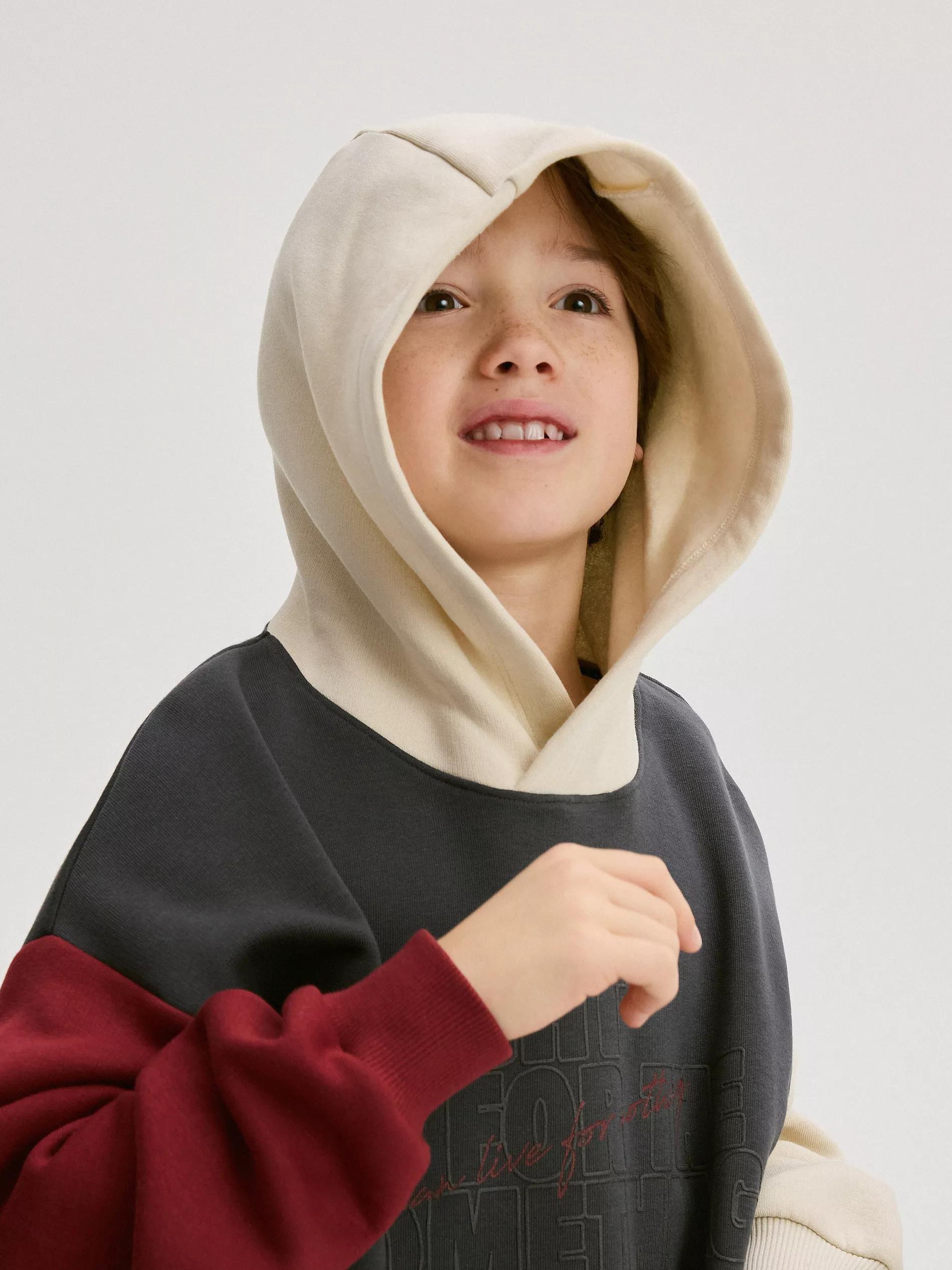 Grey Oversized Hoodie, , large image number 3