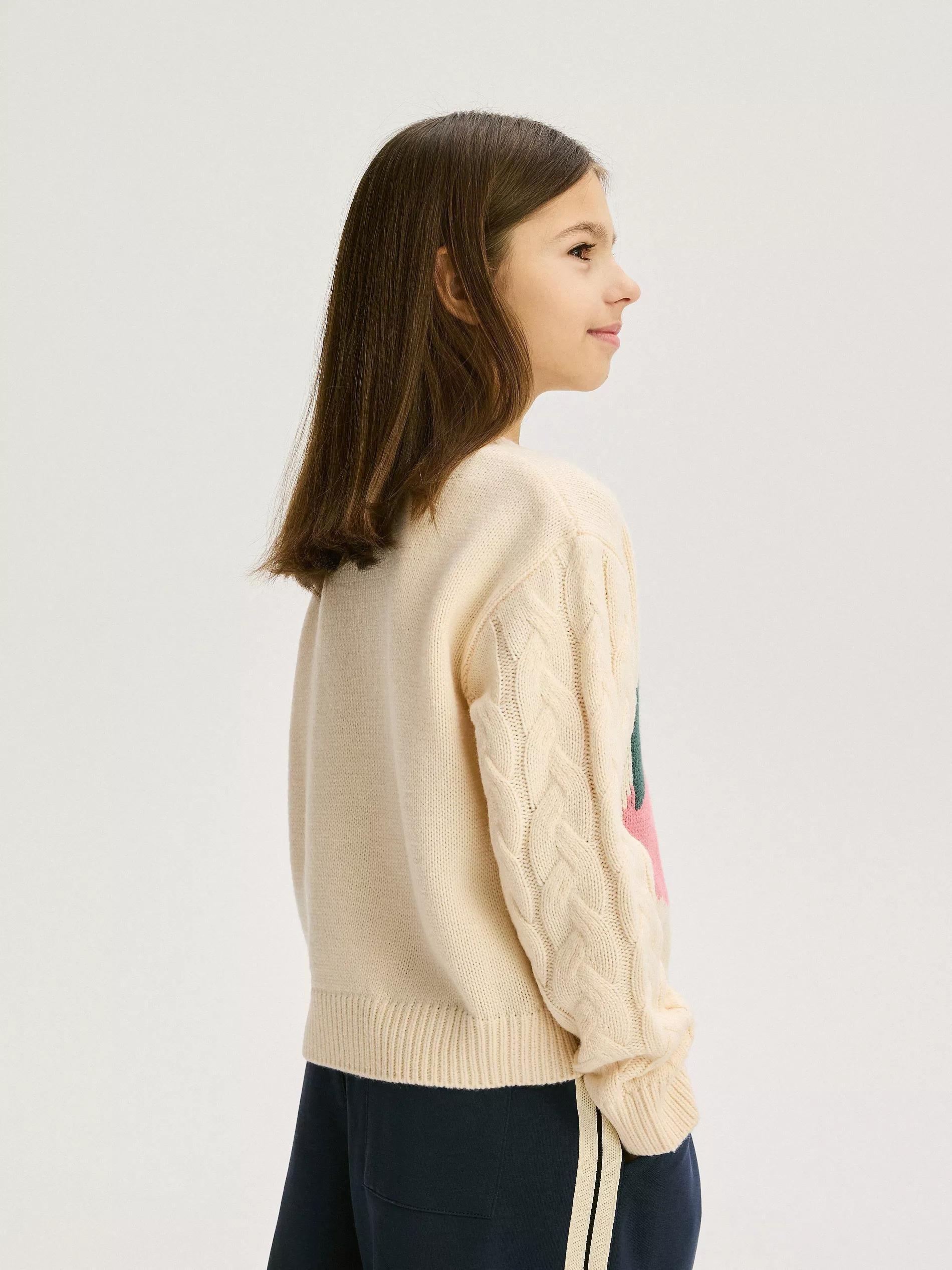 Multicolour Sweater With Applique, , large image number 1