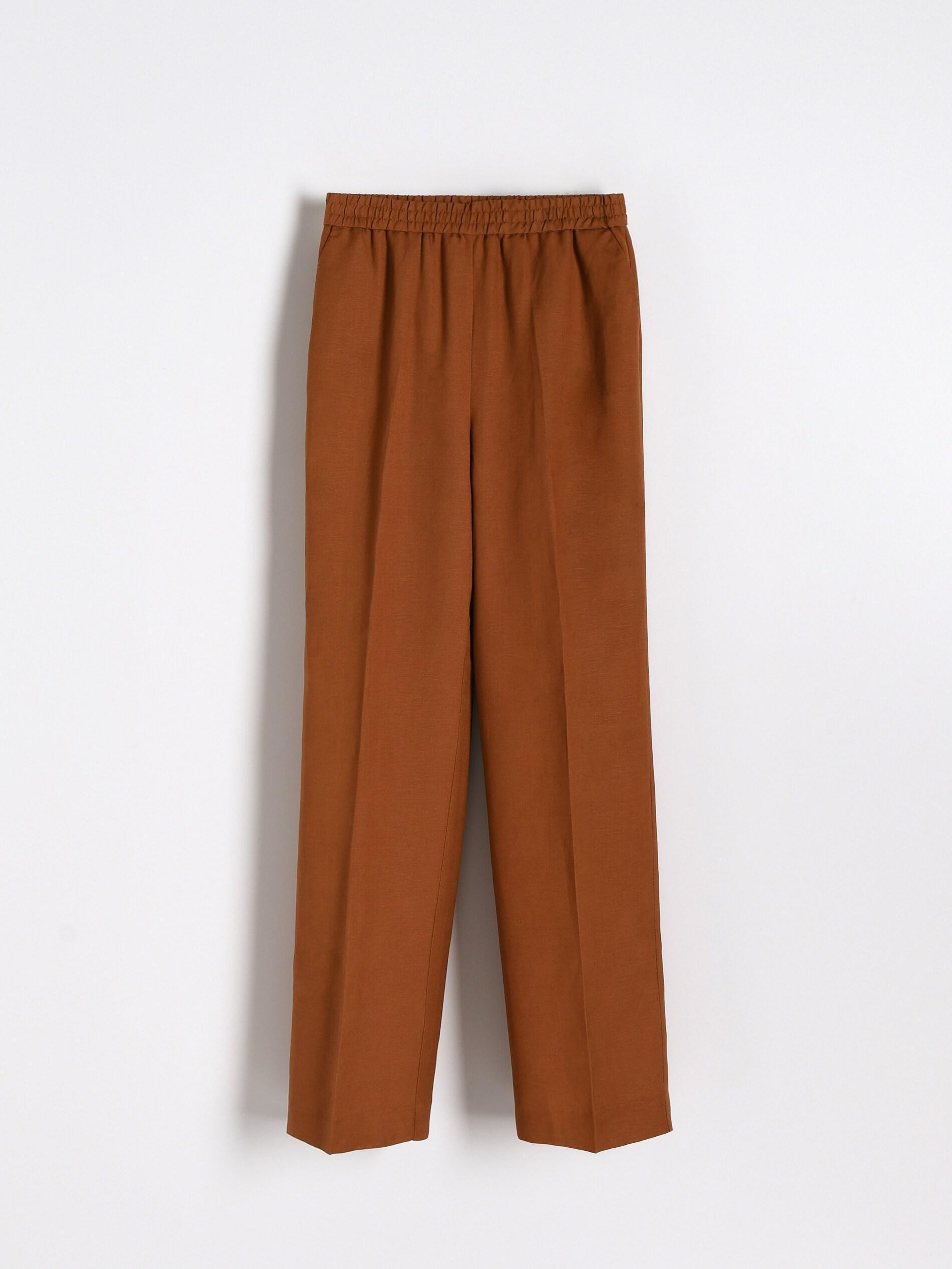 Brown Linen Rich Trousers, , large image number 1