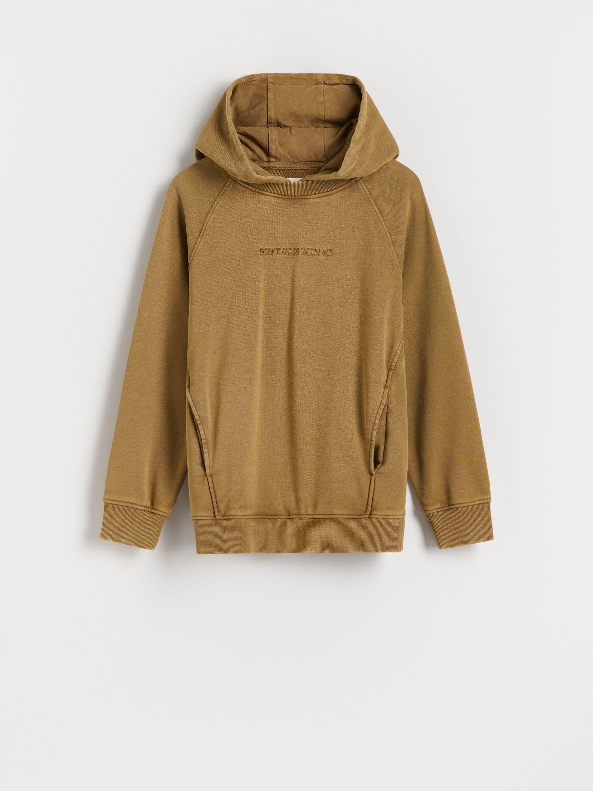 Brown Oversized Hoodie, , large image number 1