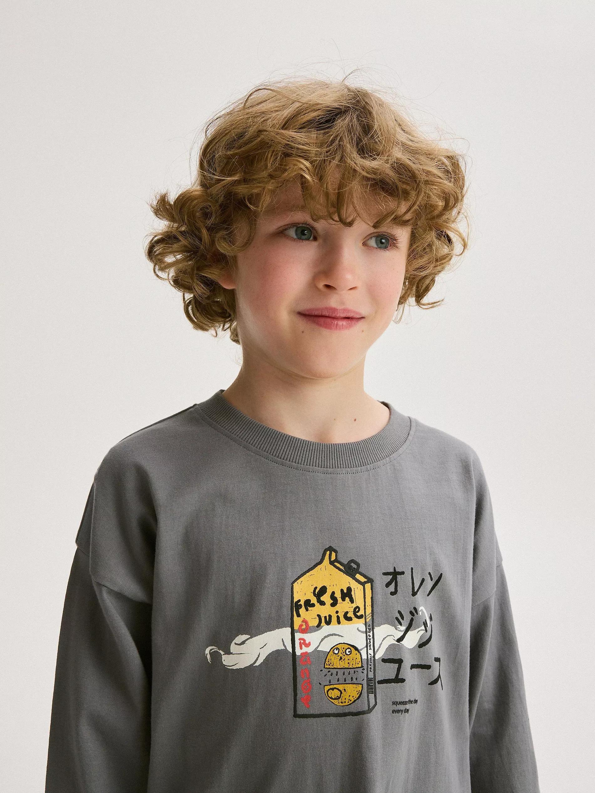 Grey Long Sleeve T-Shirt With Print, , large image number 1