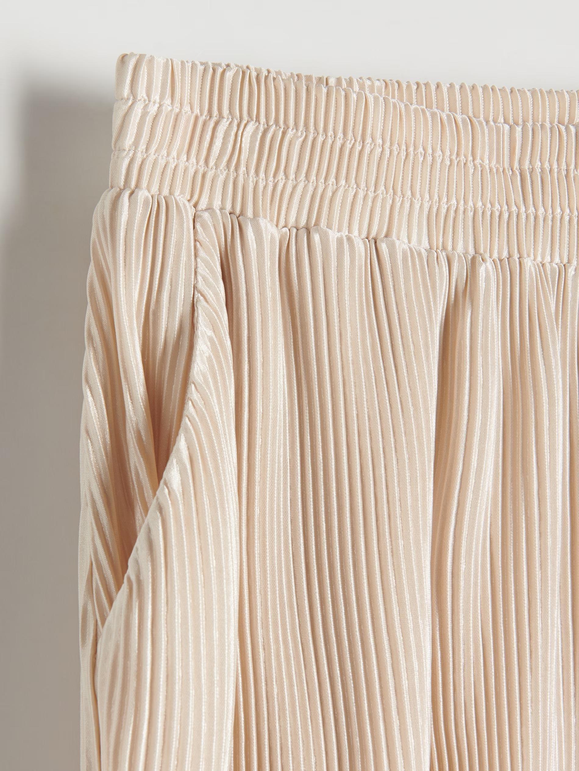 Beige Relaxed Pleated Trousers, , large image number 3