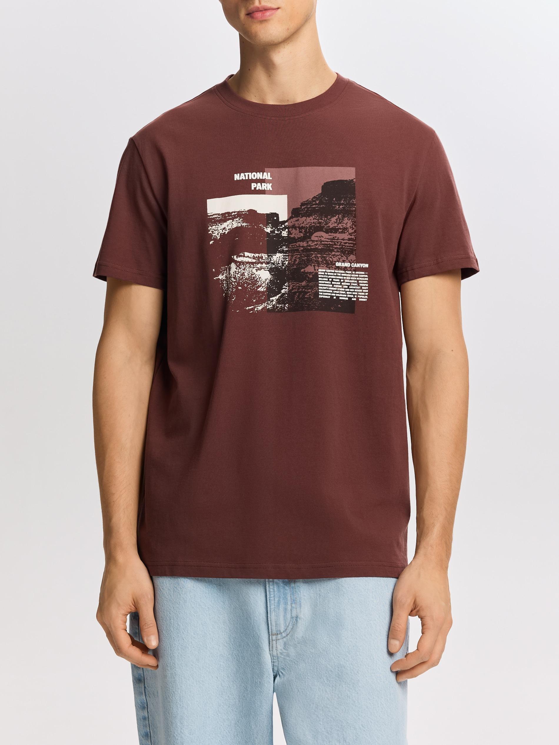 Maroon Regular Fit Printed T-Shirt, Burgundy, large image number 1