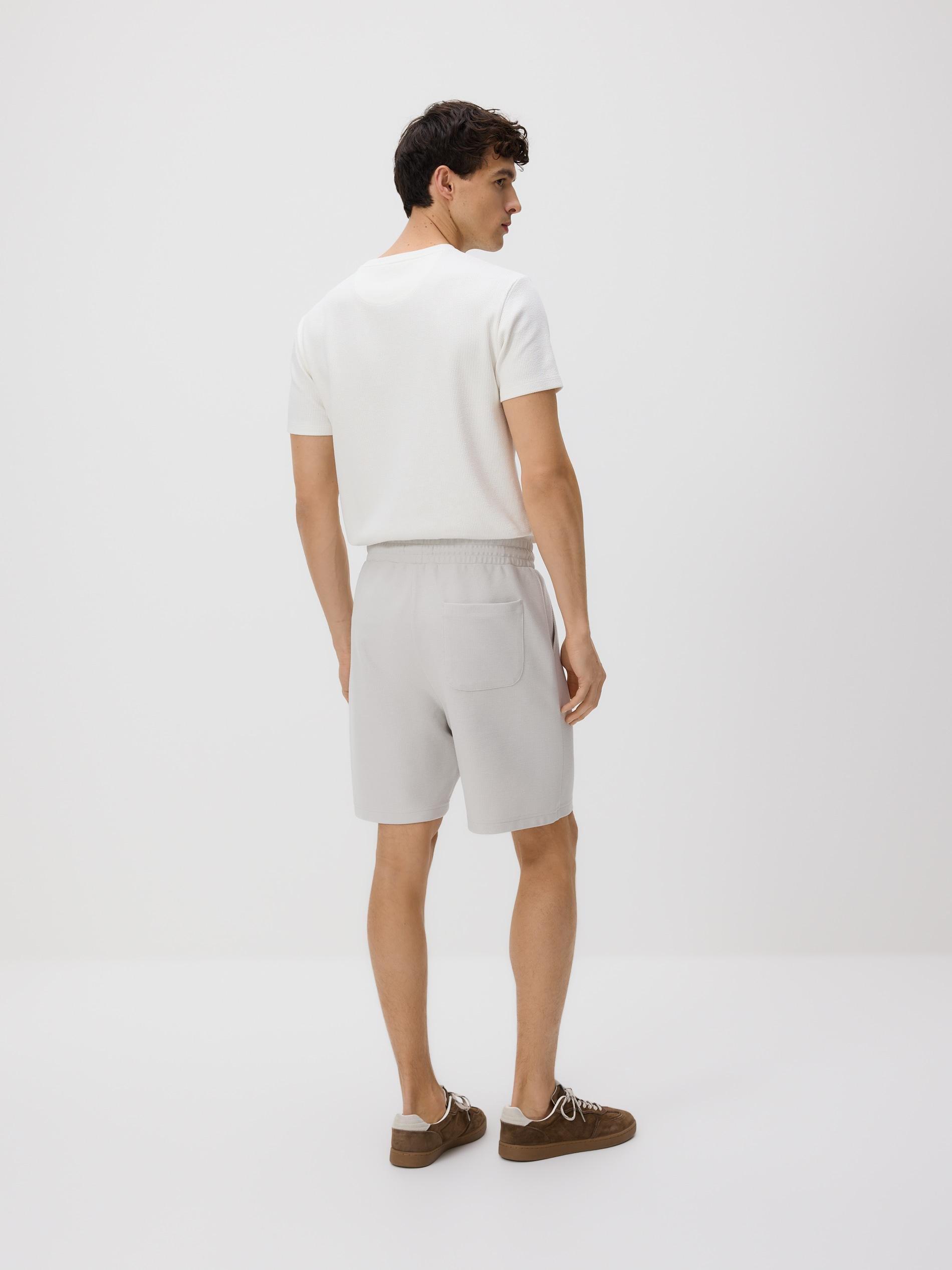 Grey Structured Regular Fit Shorts, Light grey, large image number 3