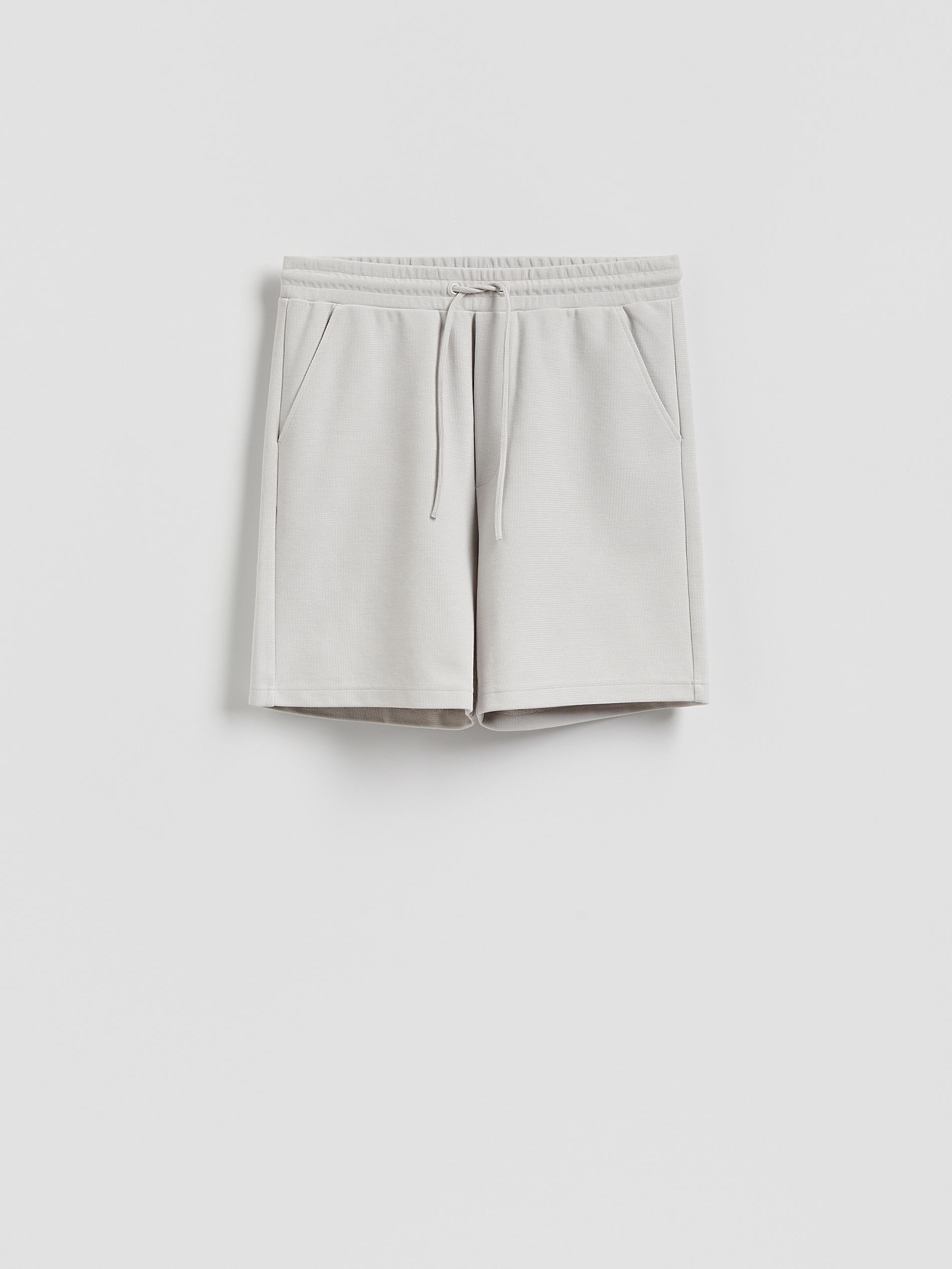 Grey Structured Regular Fit Shorts, Light grey, large image number 4