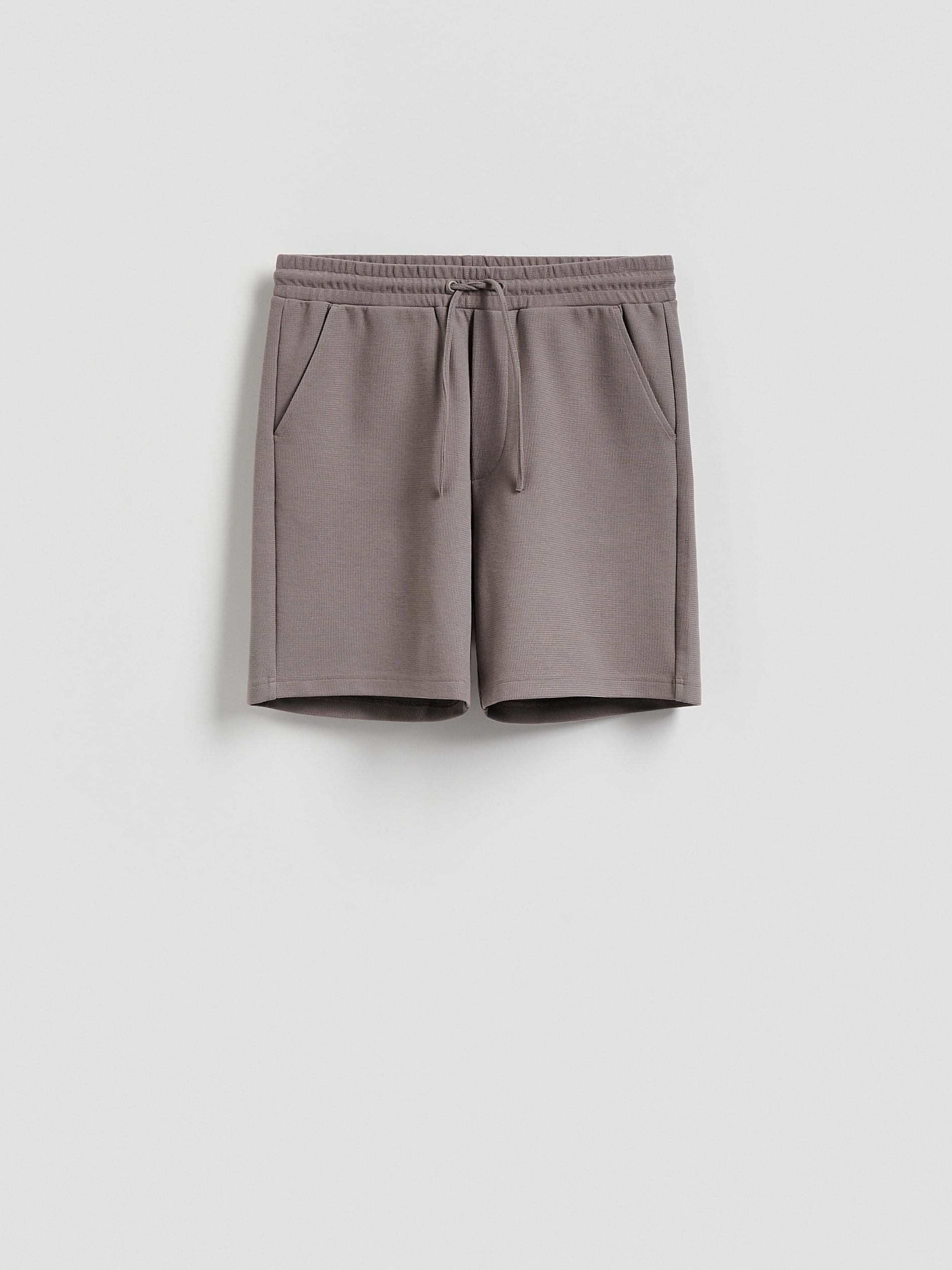 Brown Structured Regular Fit Shorts, Brown, large image number 3