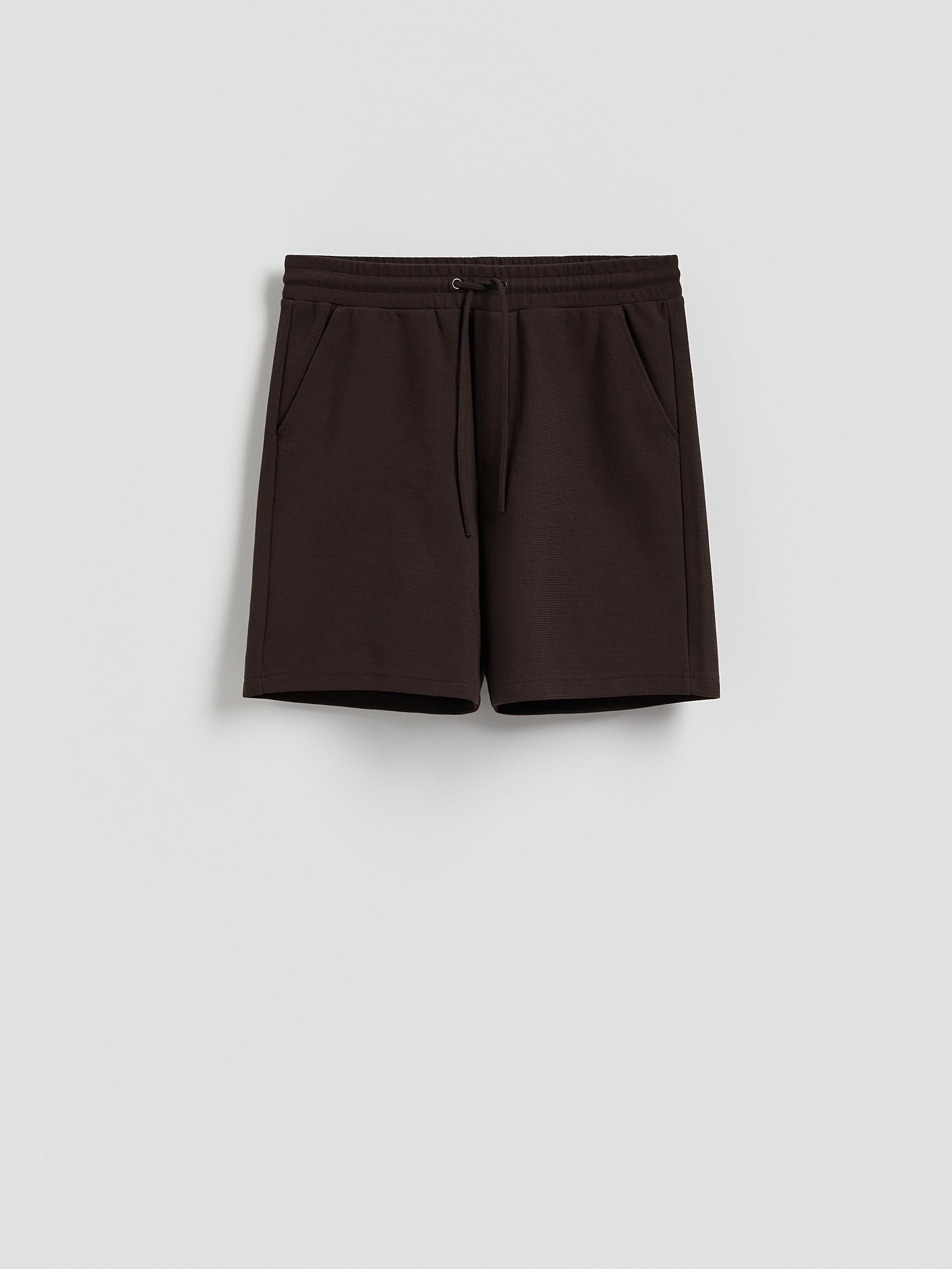 Brown Structured Regular Fit Shorts, Brown, large image number 4