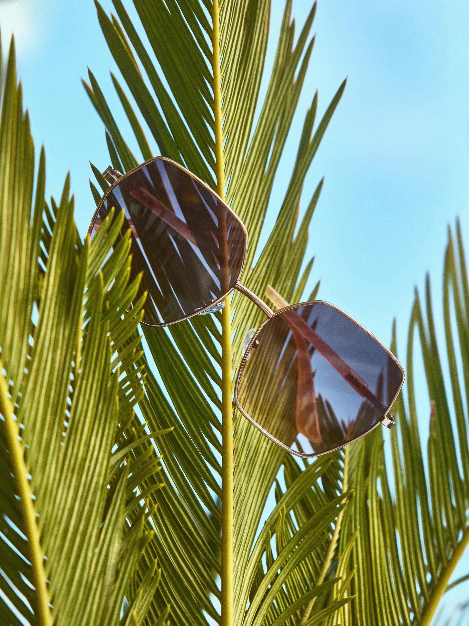 Multicolour Sunglasses, Multicolor, large image number 0
