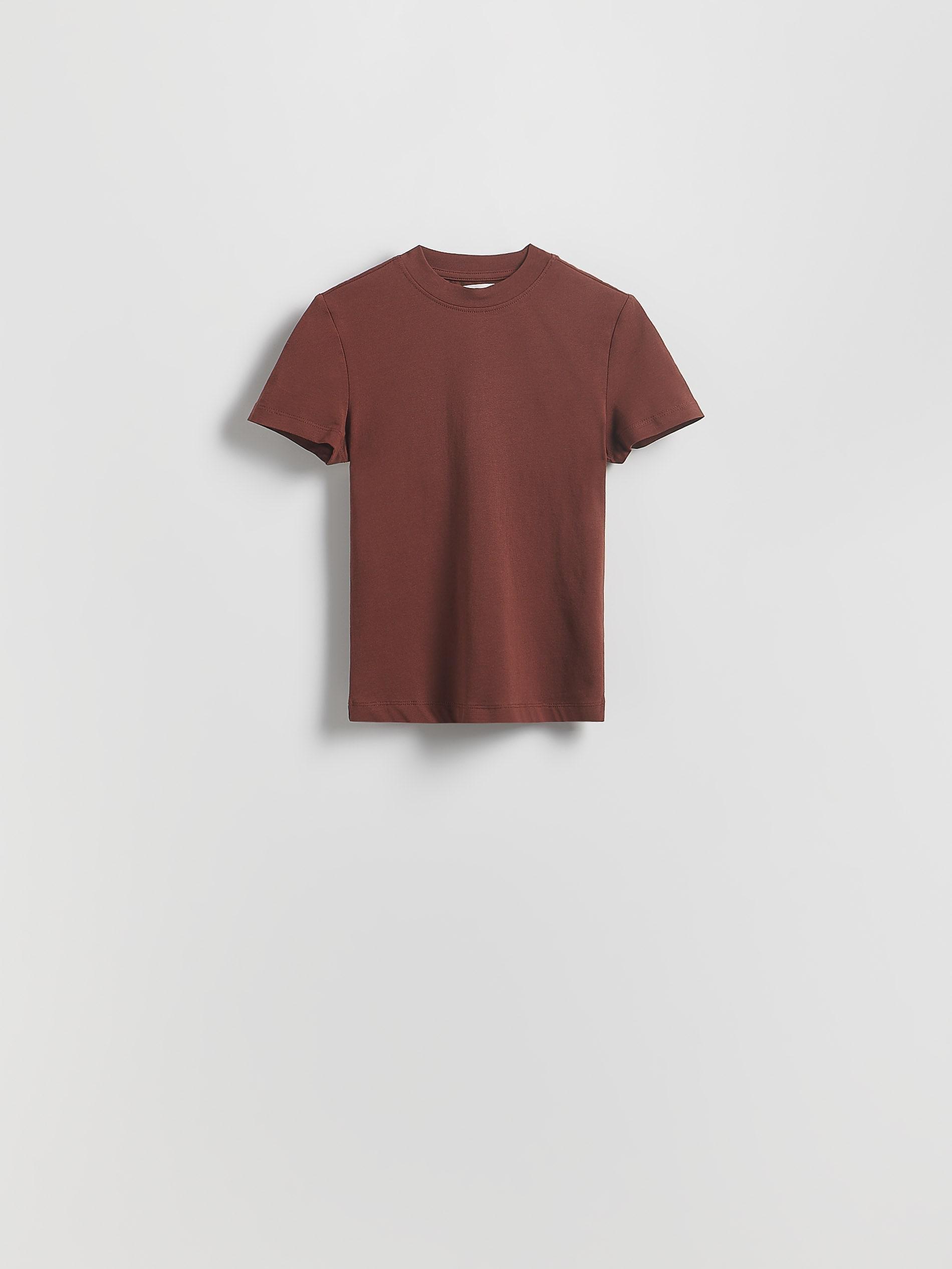 Brown Regular Fit T-Shirt, , large image number 0