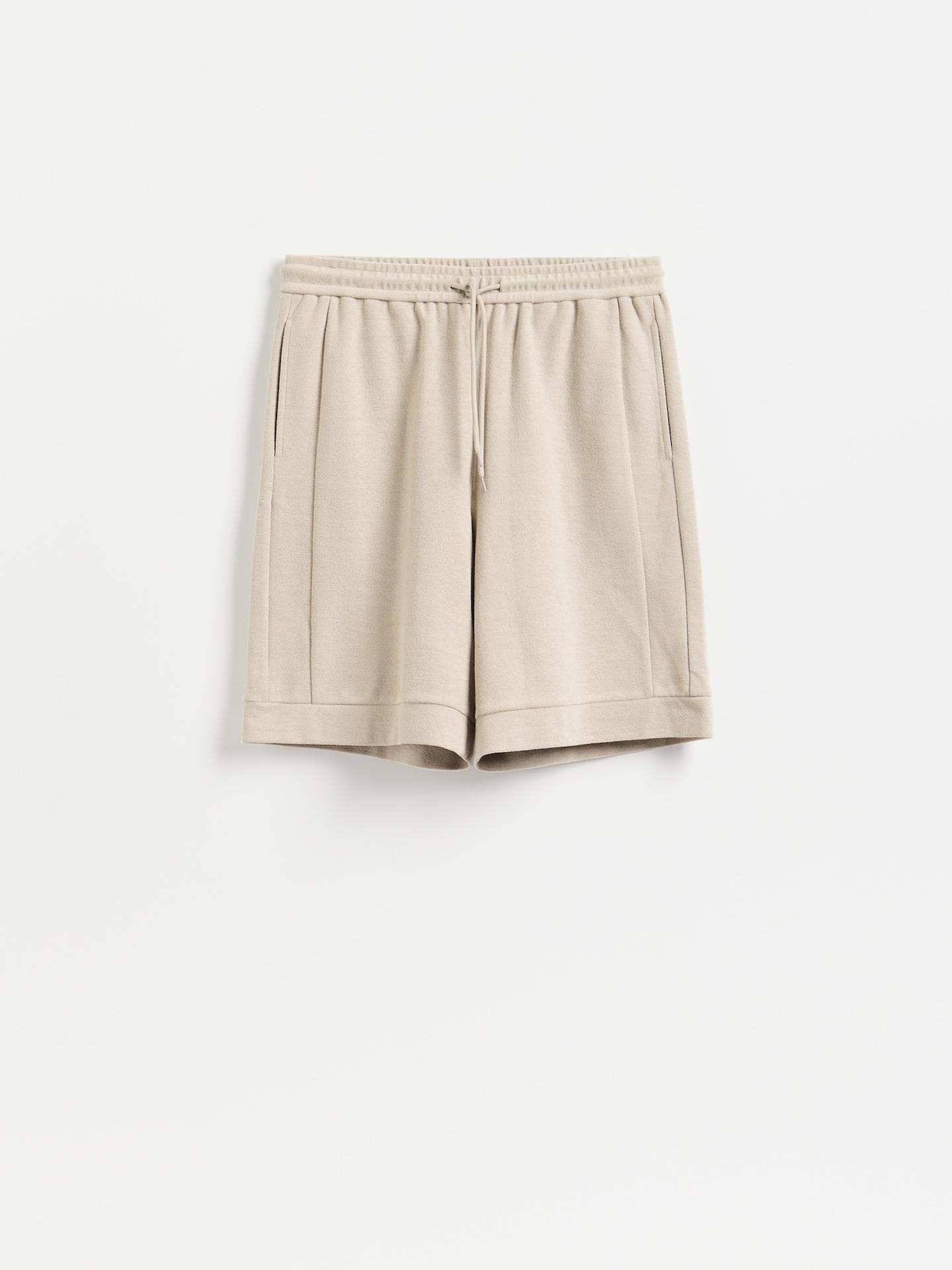 Grey Regular Shorts, Light grey, large image number 4