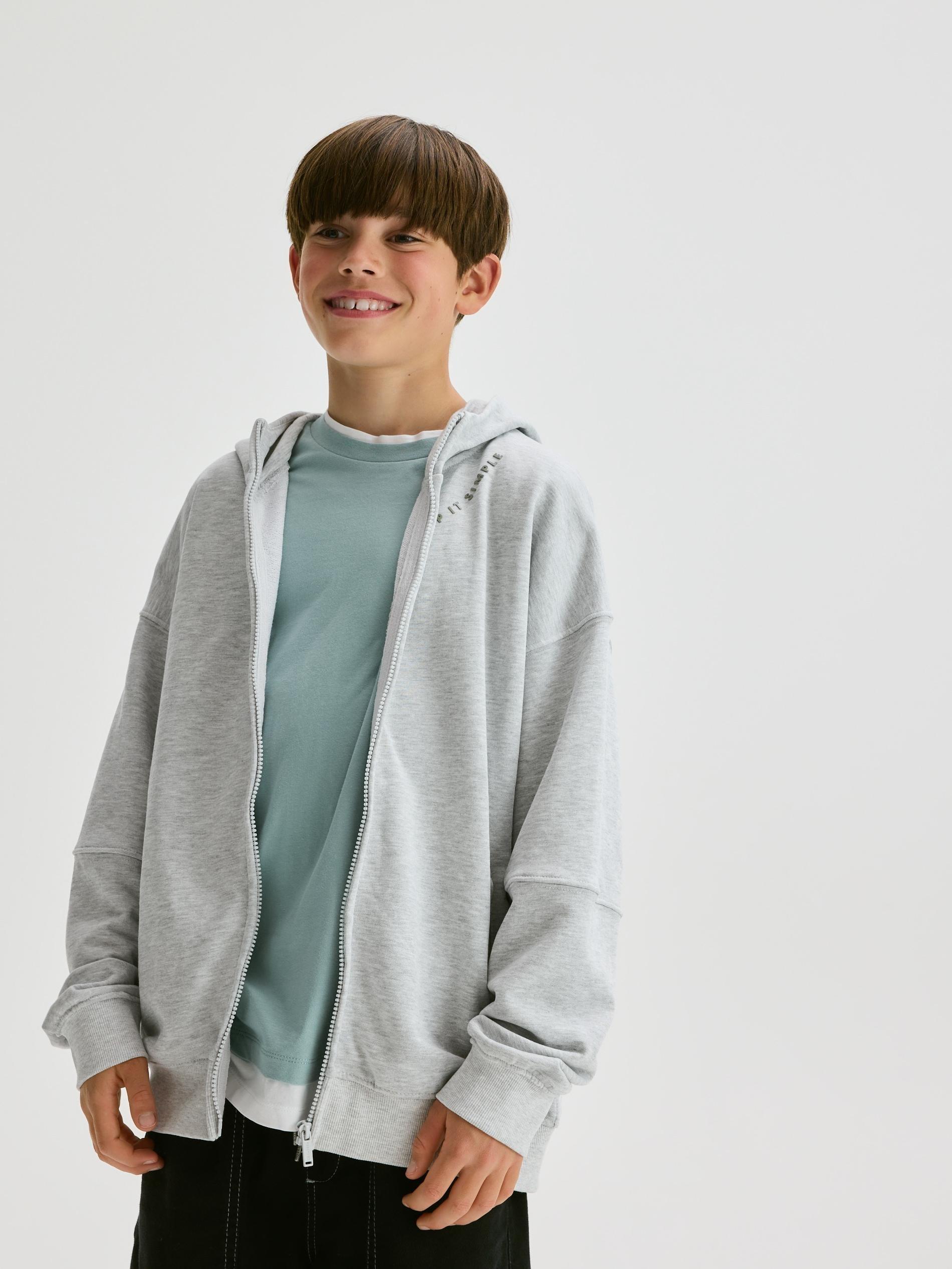 Grey Cotton Hoodie, Light grey, large image number 5