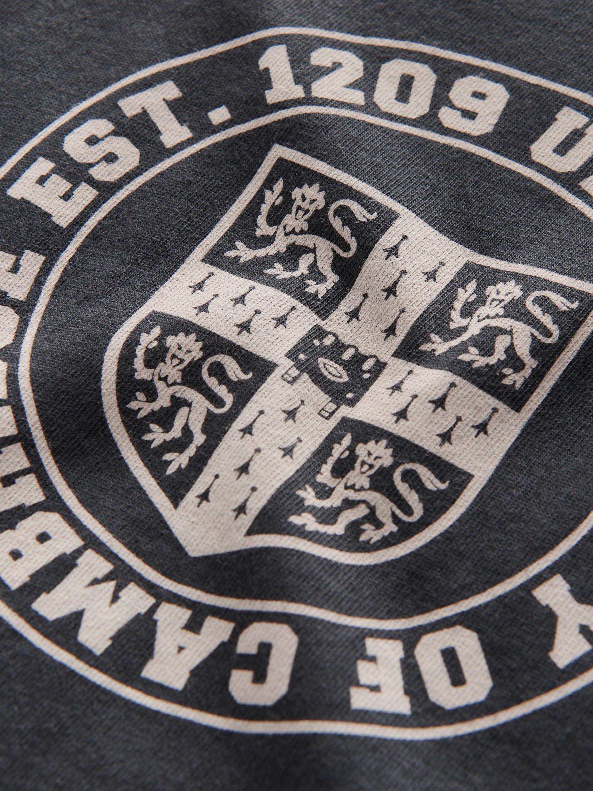 Grey Printed T-Shirt, Kids Boys, , large image number 2