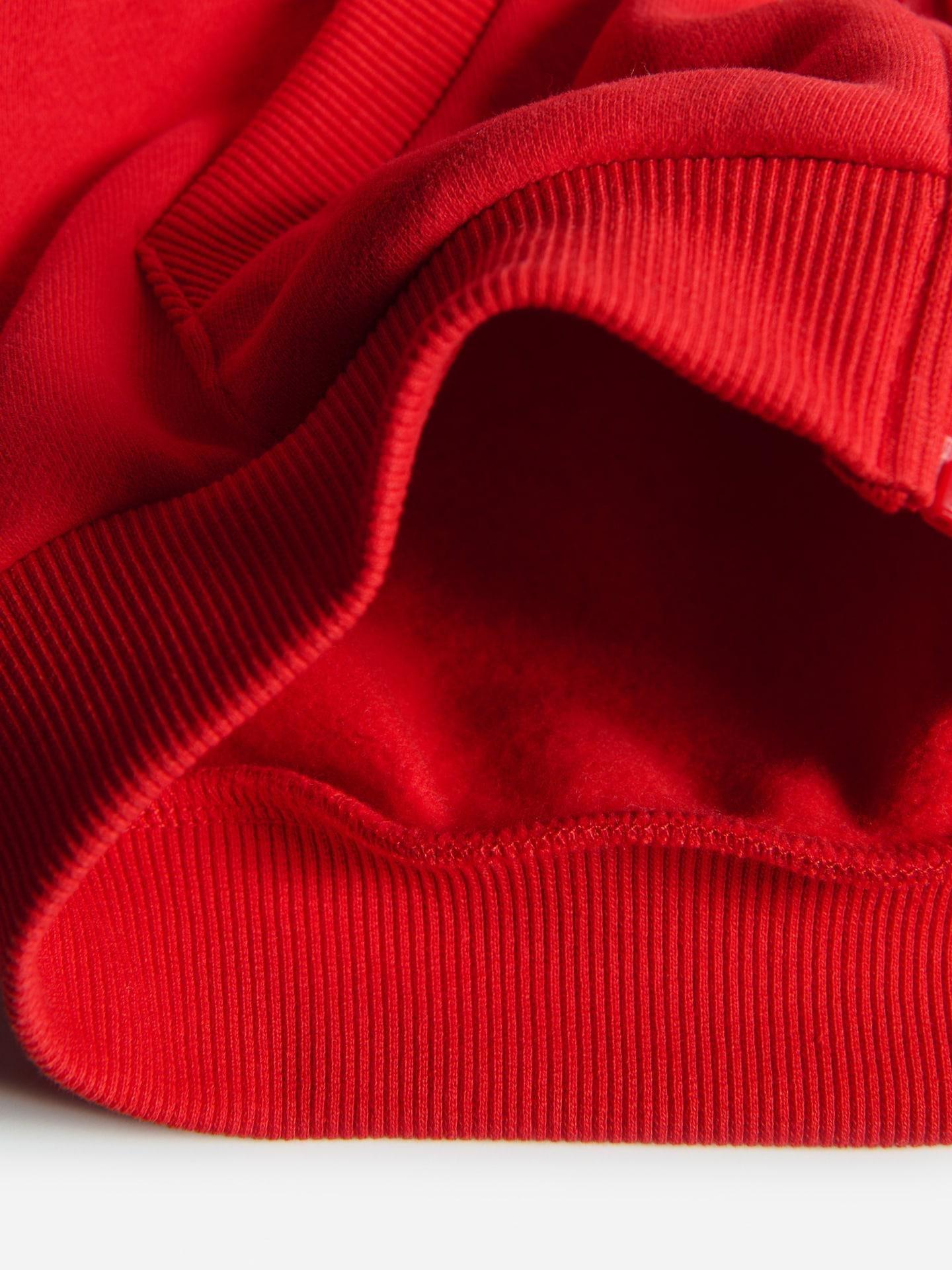 Red Oversized Cotton Rich Sweatshirt, Red, large image number 3
