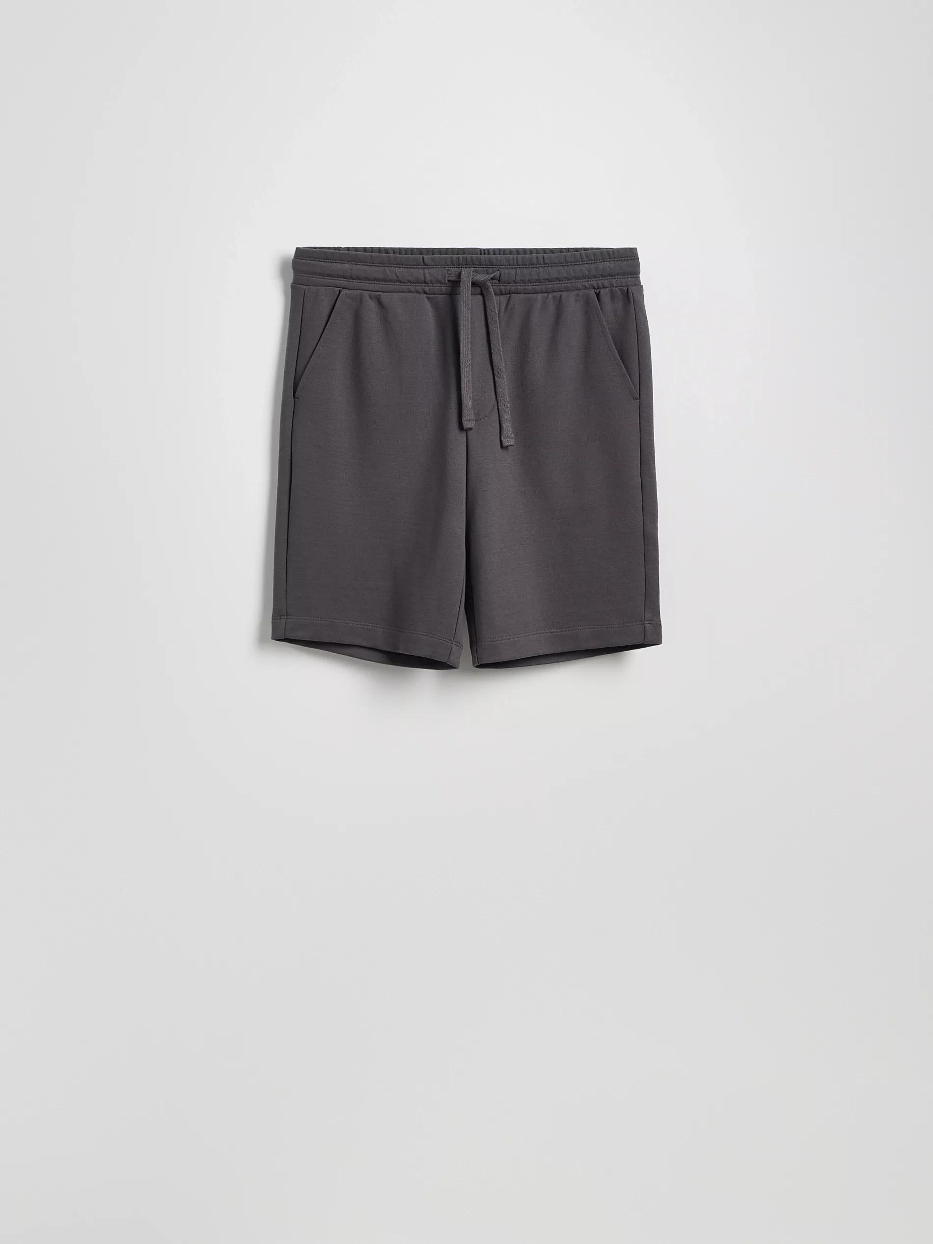 Grey Regular Fit Sweat Shorts, , large image number 3