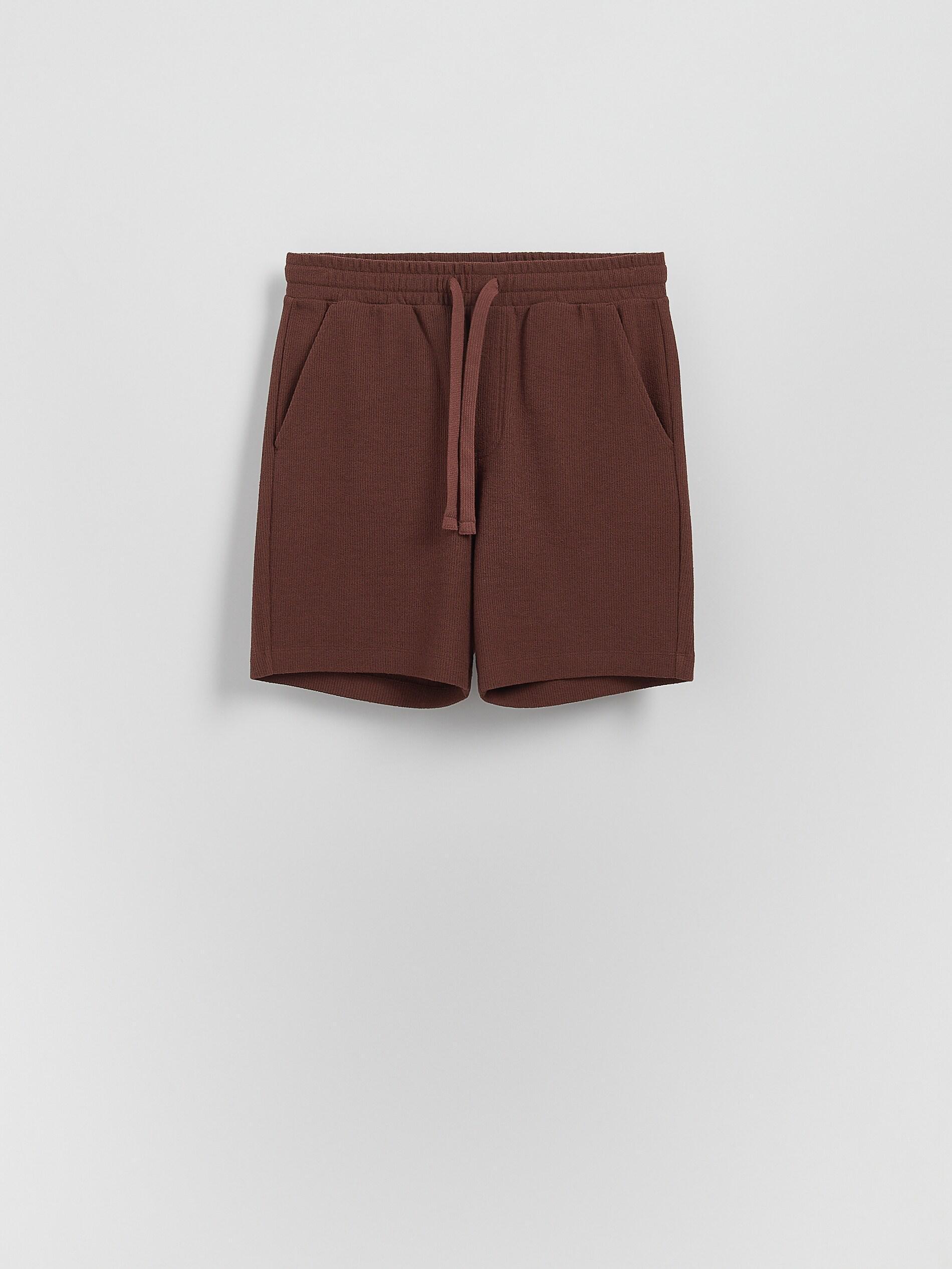Burgundy Cotton Regular Shorts, Burgundy, large image number 1