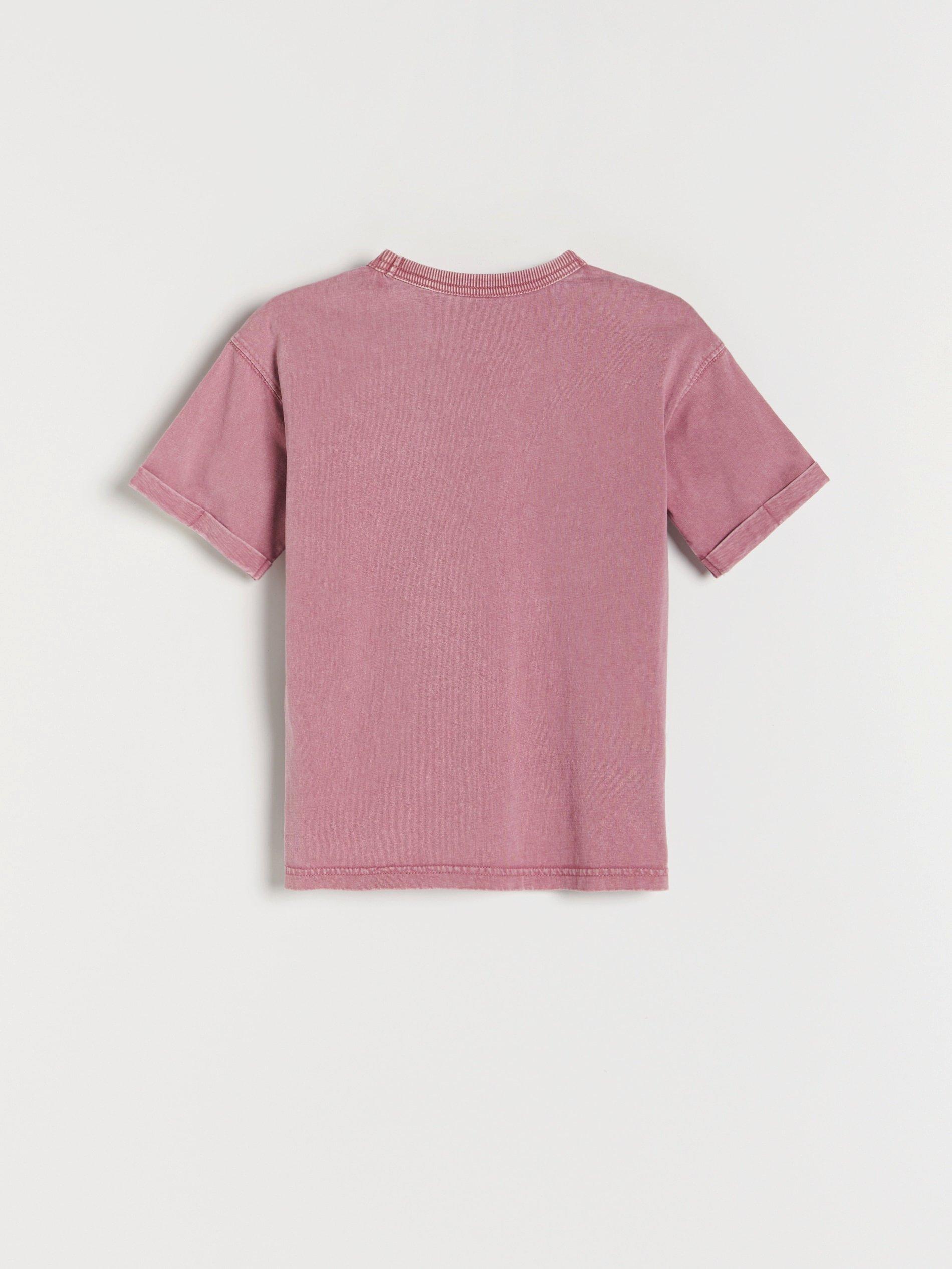 Grape T-Shirt With A Washed-Out Effect, Kids Boy, , large image number 3