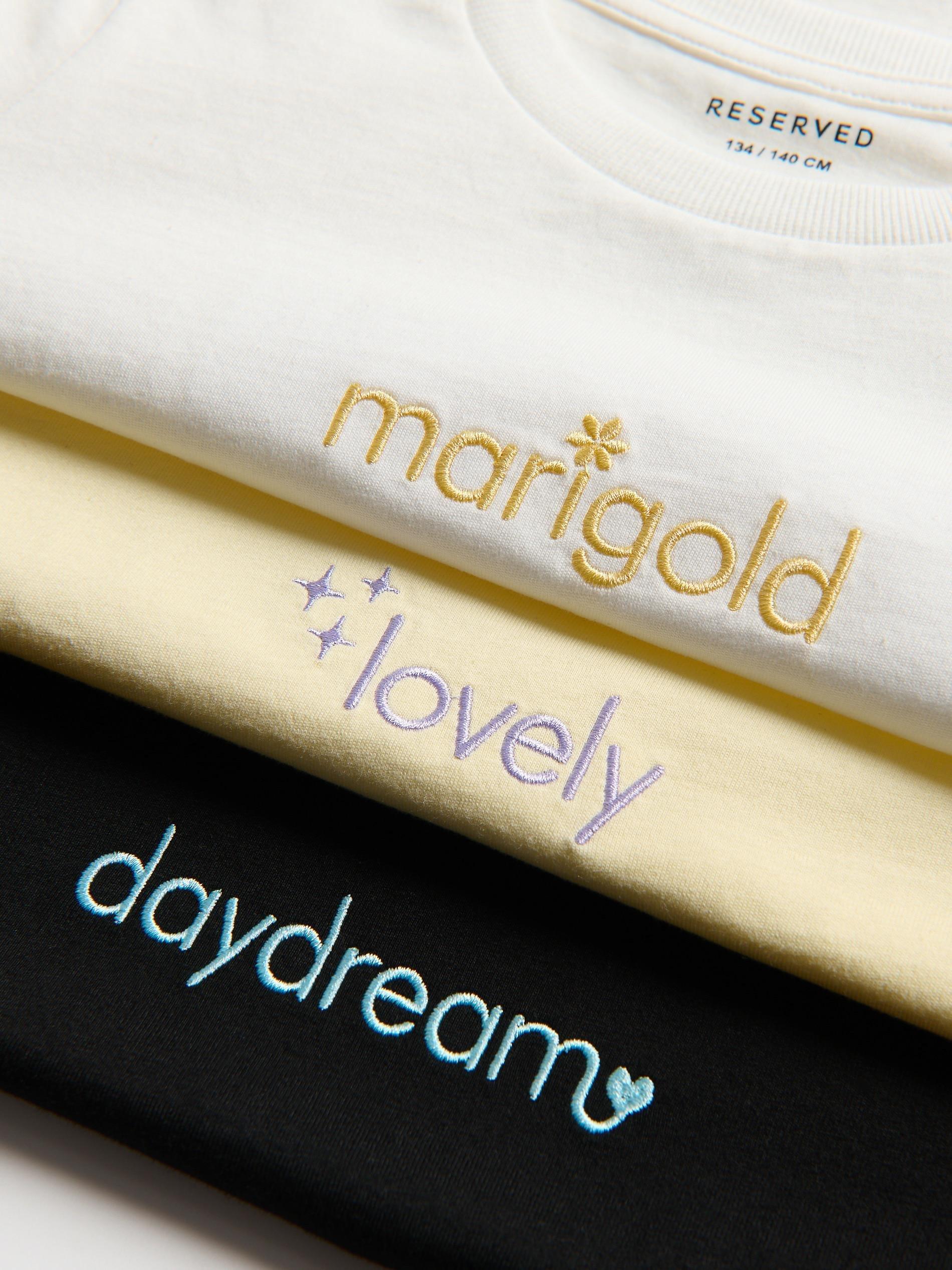 Cream T-Shirt With Embroidery Detailing, Ivory, large image number 3