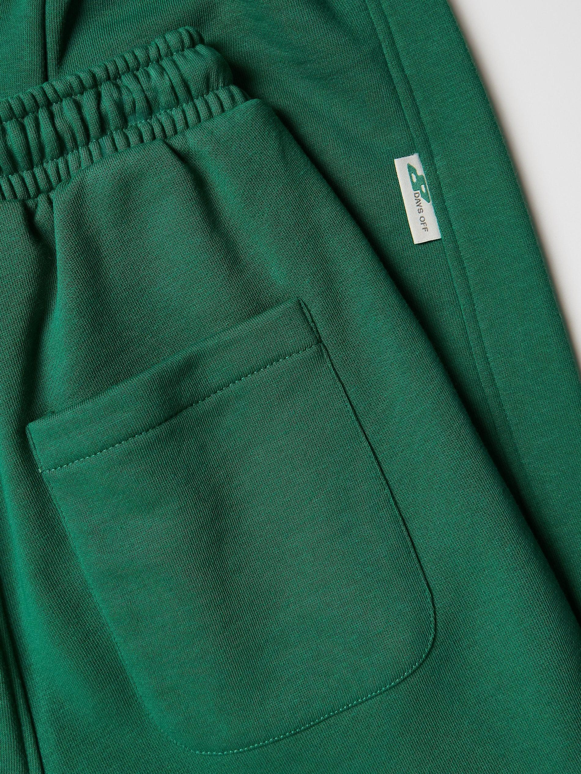 Fresh Green Cotton Joggers, Green, medium