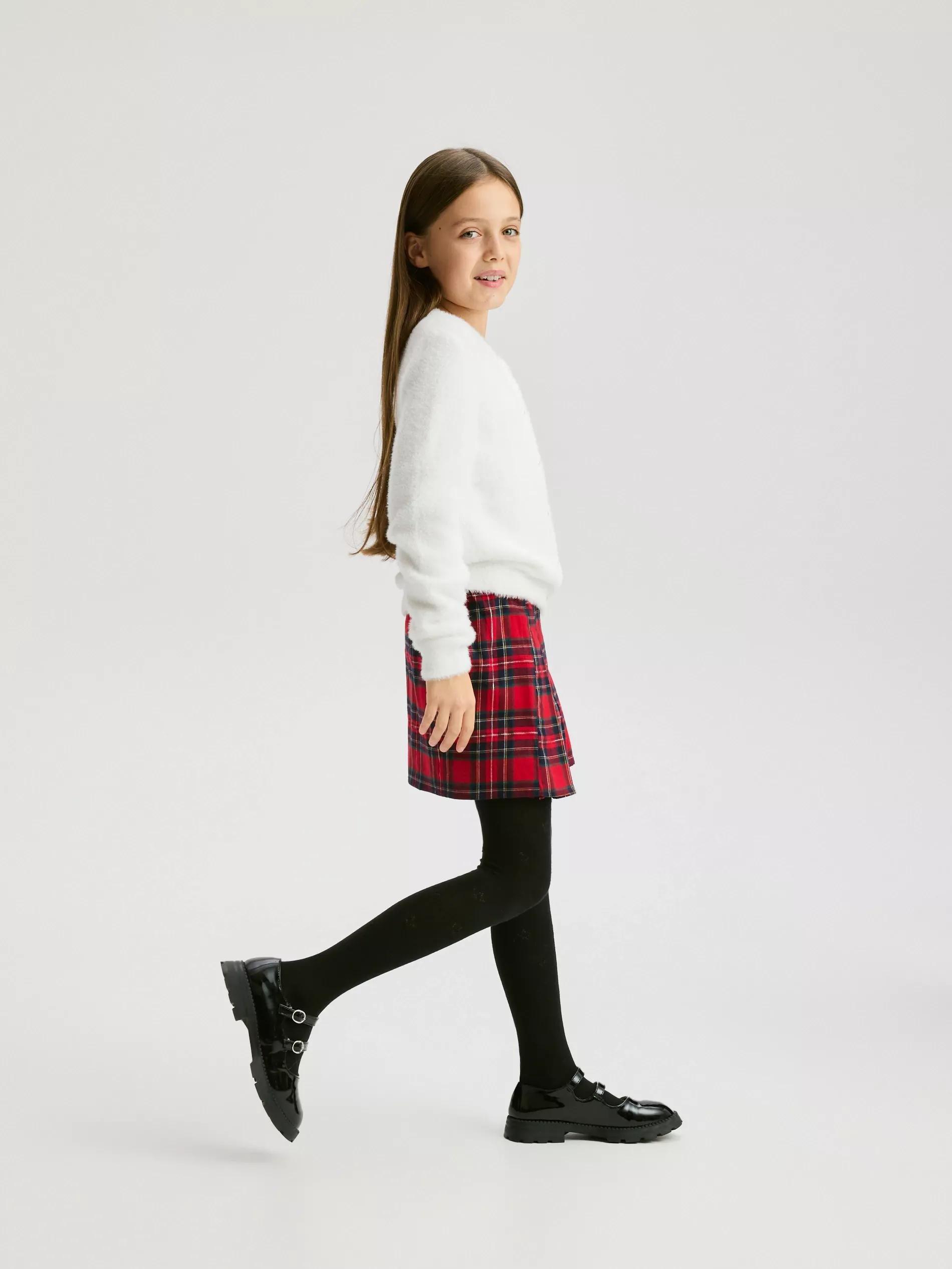 Multicolour Plaid Pleated Skirt, Multicolor, large image number 1