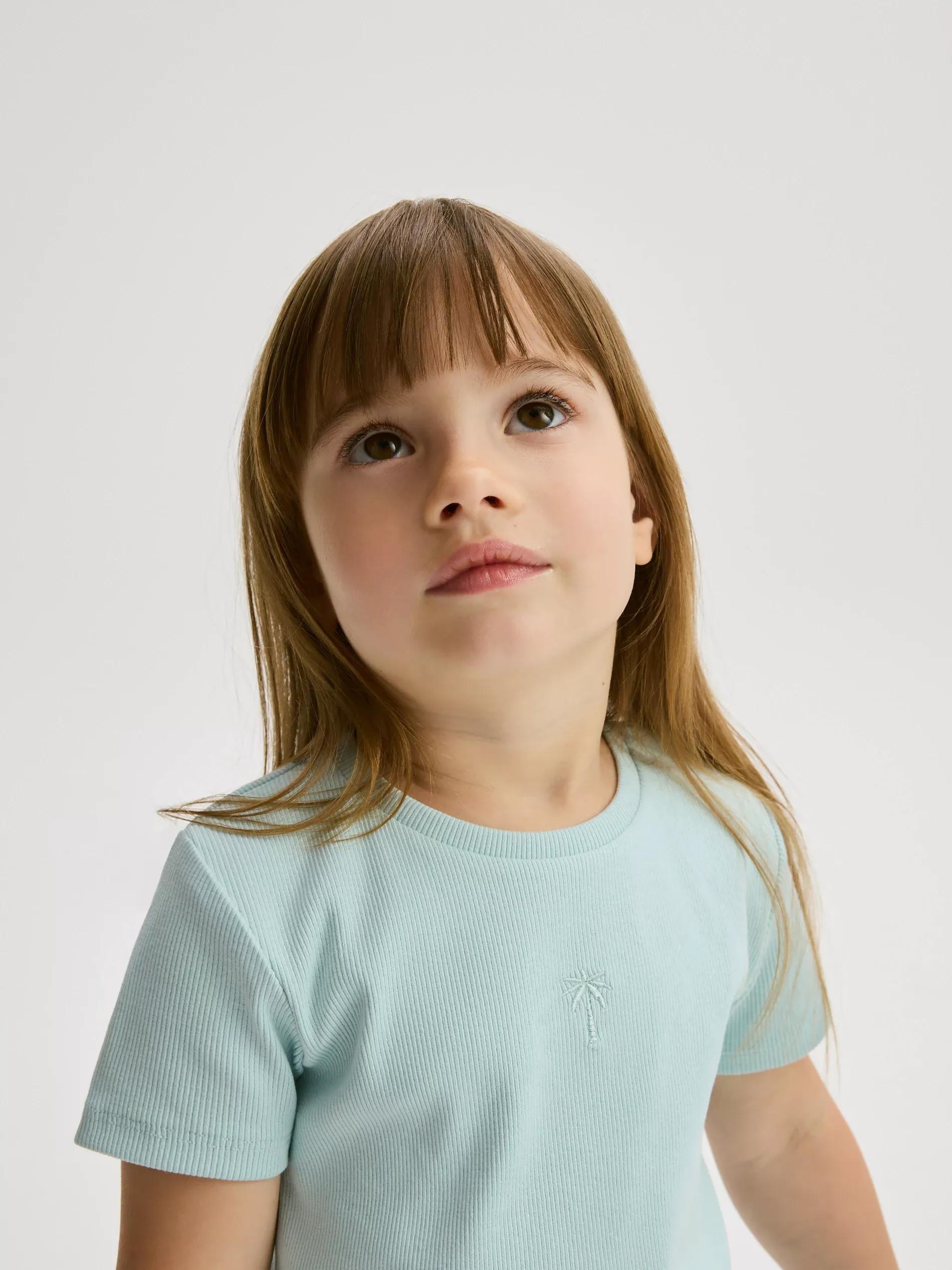 Blue Cotton T-Shirt With Embroidery Detail, , medium