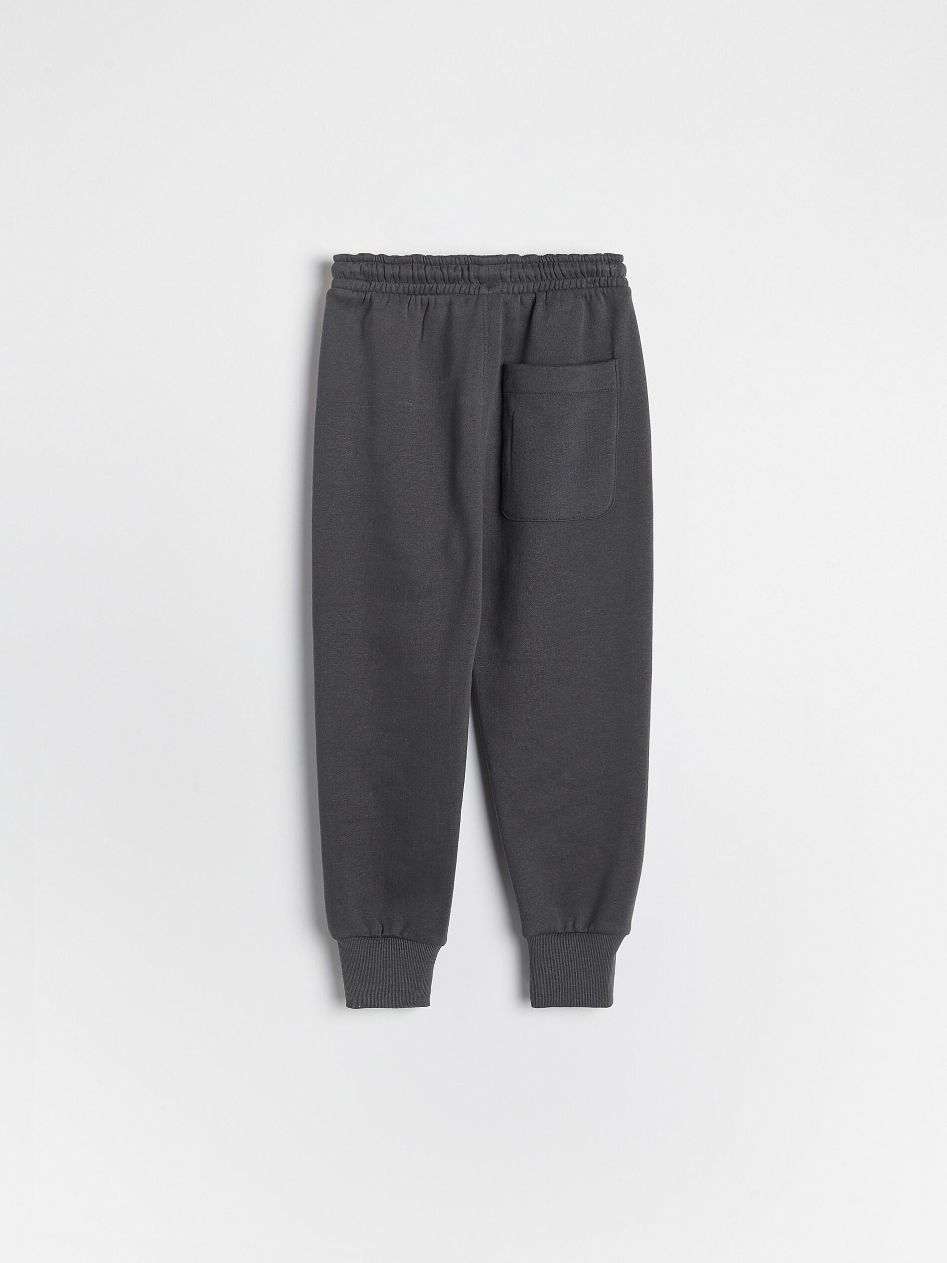 Dark Grey Sweatshirt Joggers With Pockets, Kids Boy, , large image number 4