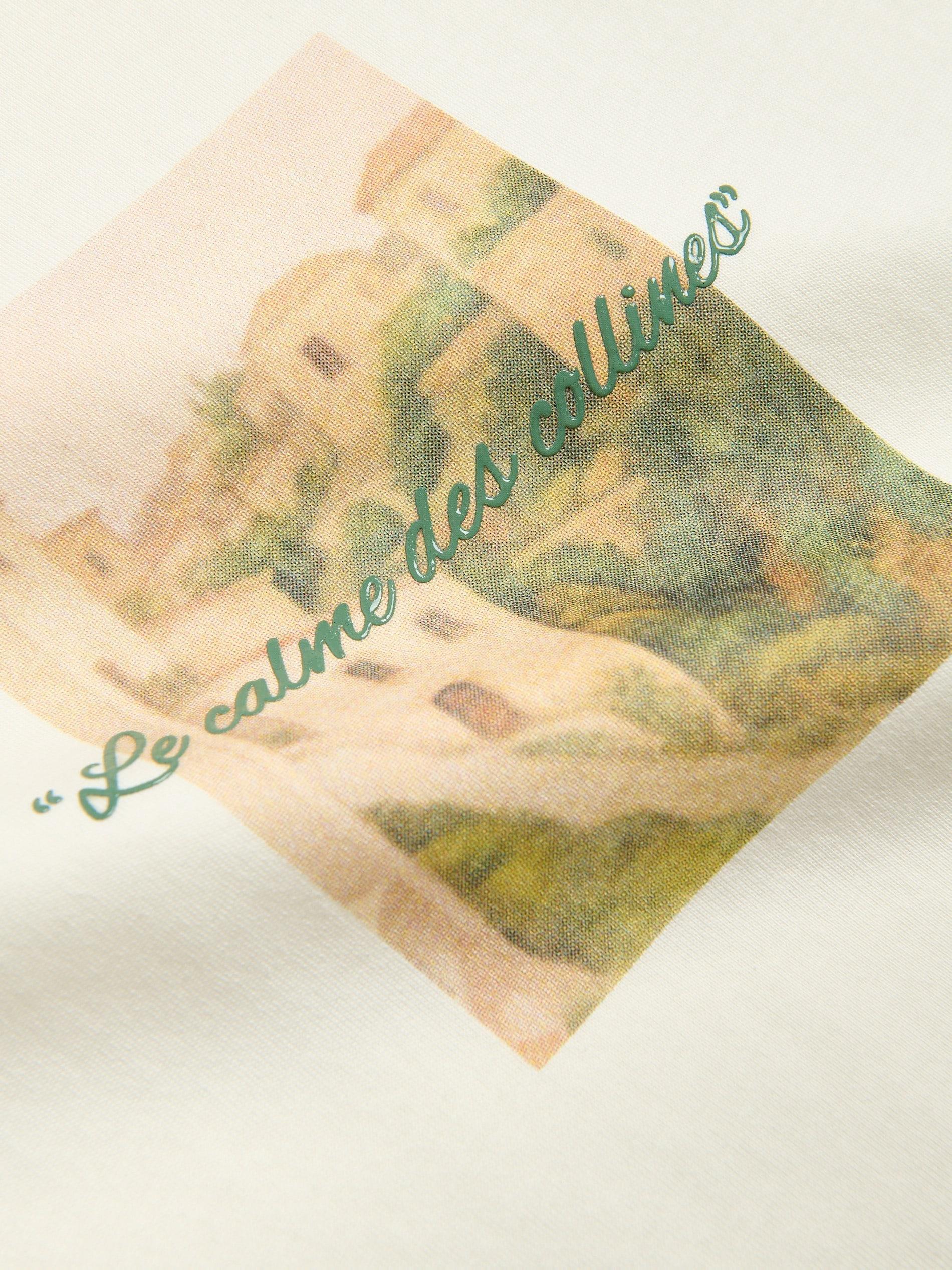 Cream Mercerised Organic Cotton Regular Fit T-Shirt, Ivory, large image number 5