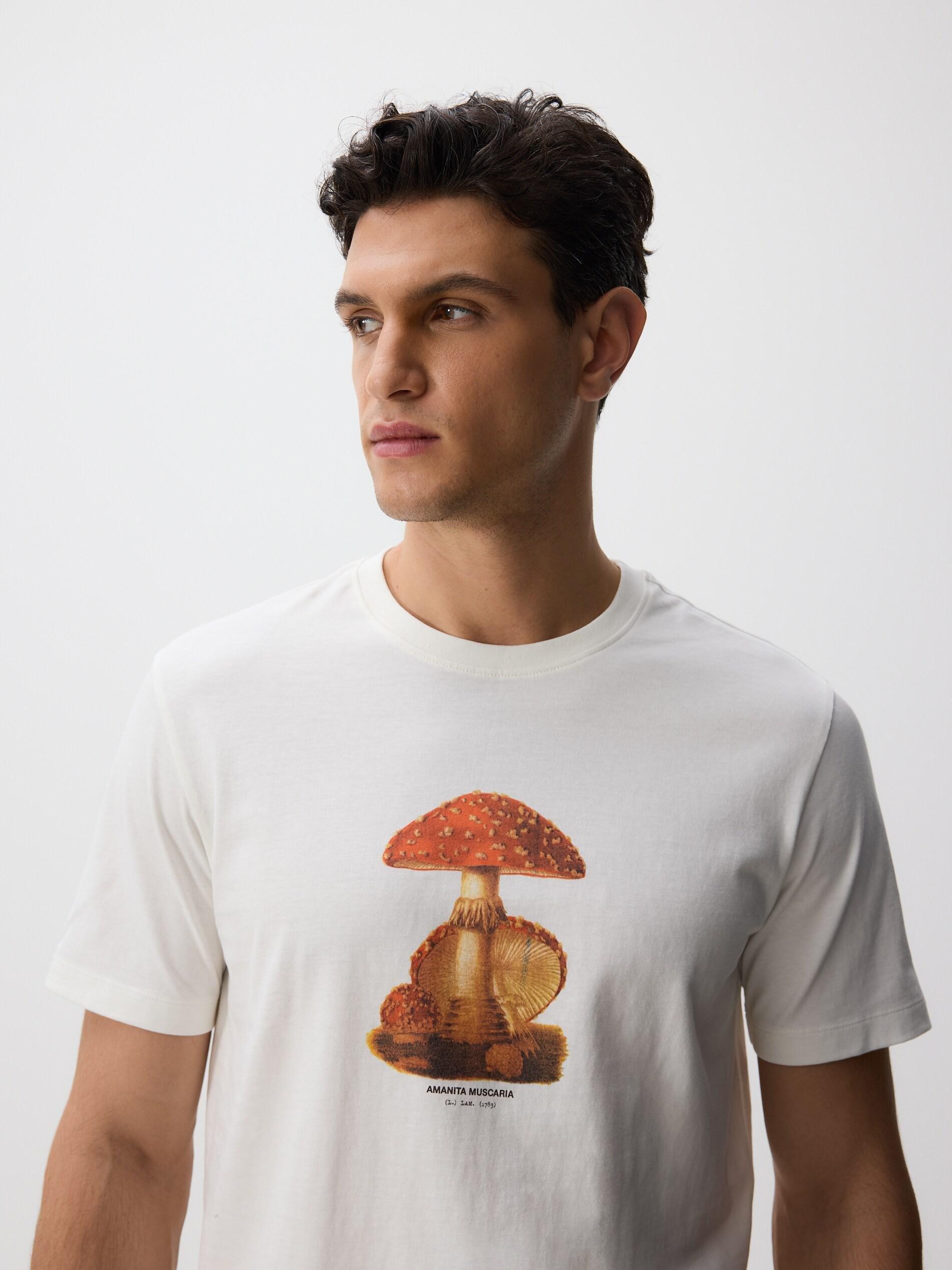 Cream Regular Fit Printed T-Shirt, Ivory, medium