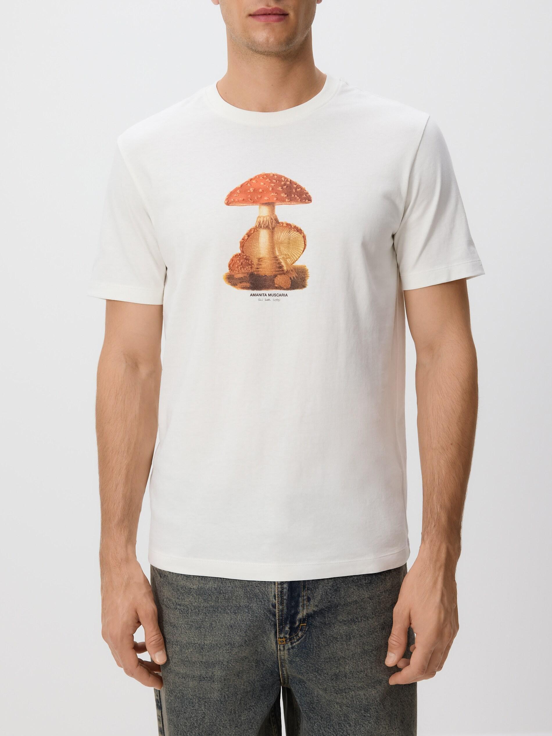 Cream Regular Fit Printed T-Shirt, Ivory, large image number 2