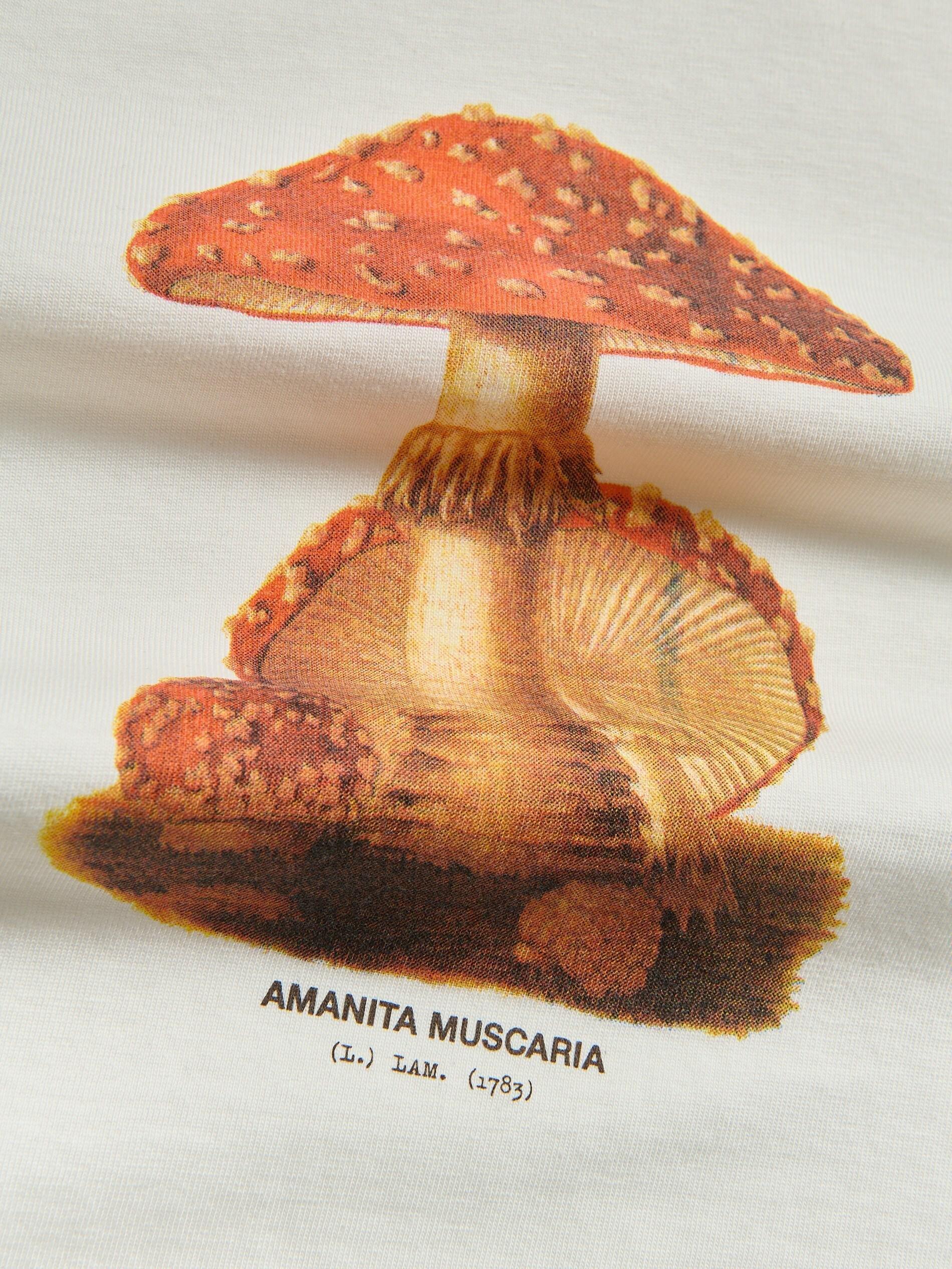 Cream Regular Fit Printed T-Shirt, Ivory, large image number 5