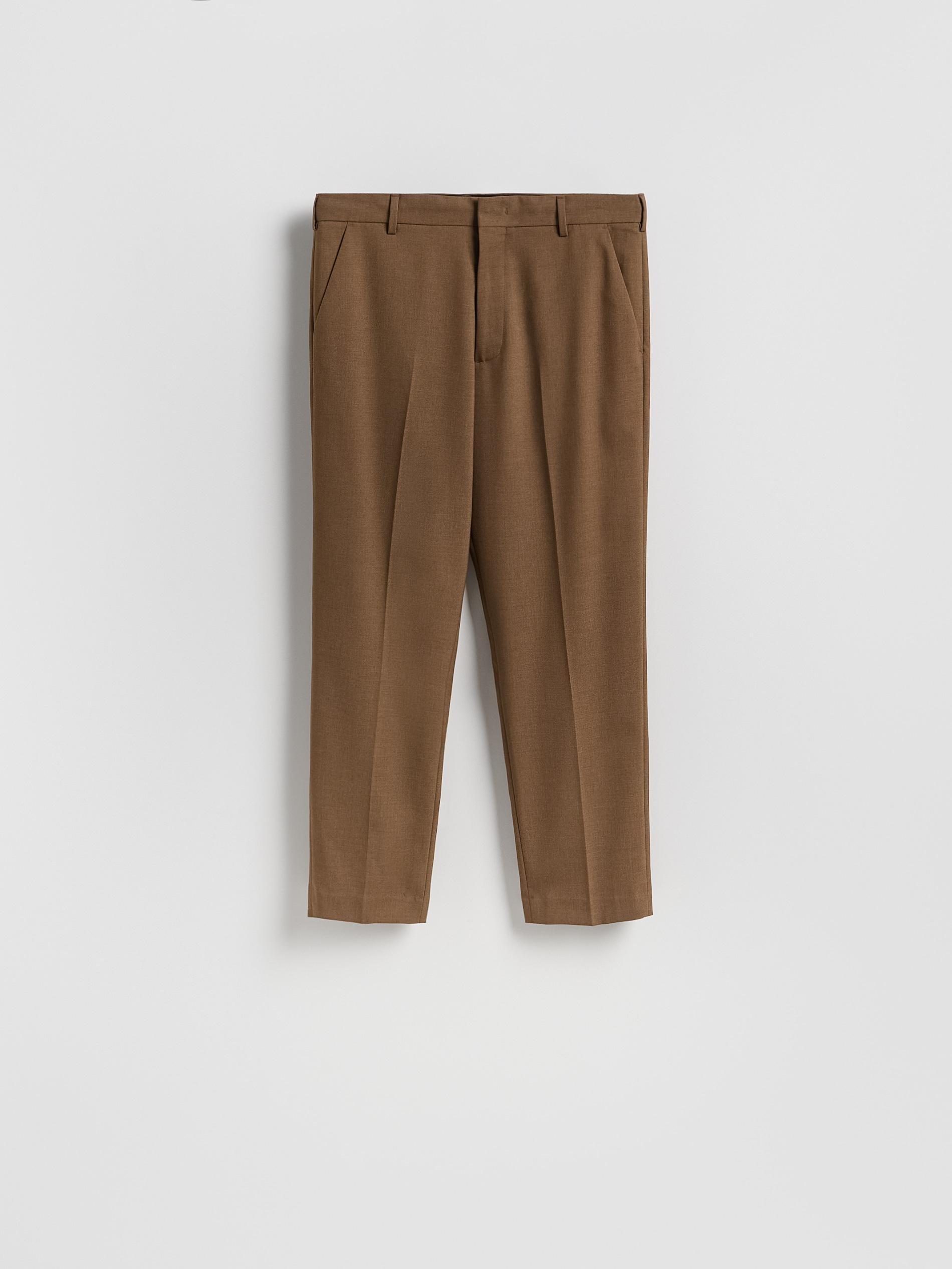 Brown Regular Fit Chino Trousers, Brown, large image number 4