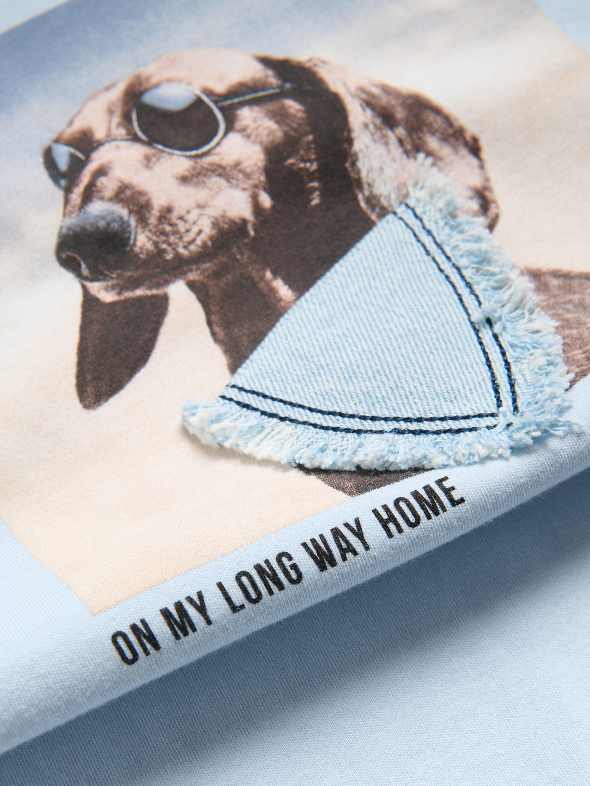 Blue Short T-Shirt With Print, , large image number 1