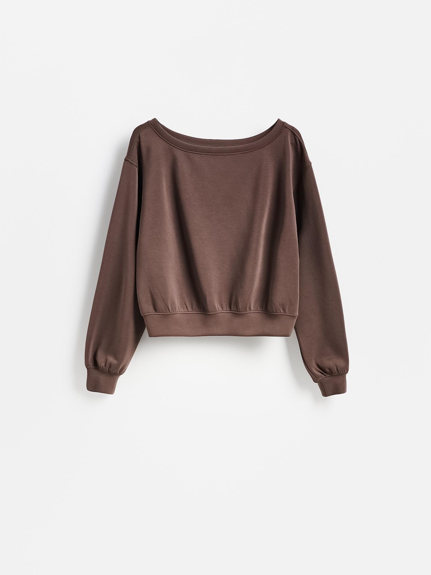 Brown Plain Sweatshirt With Modal, Brown, medium