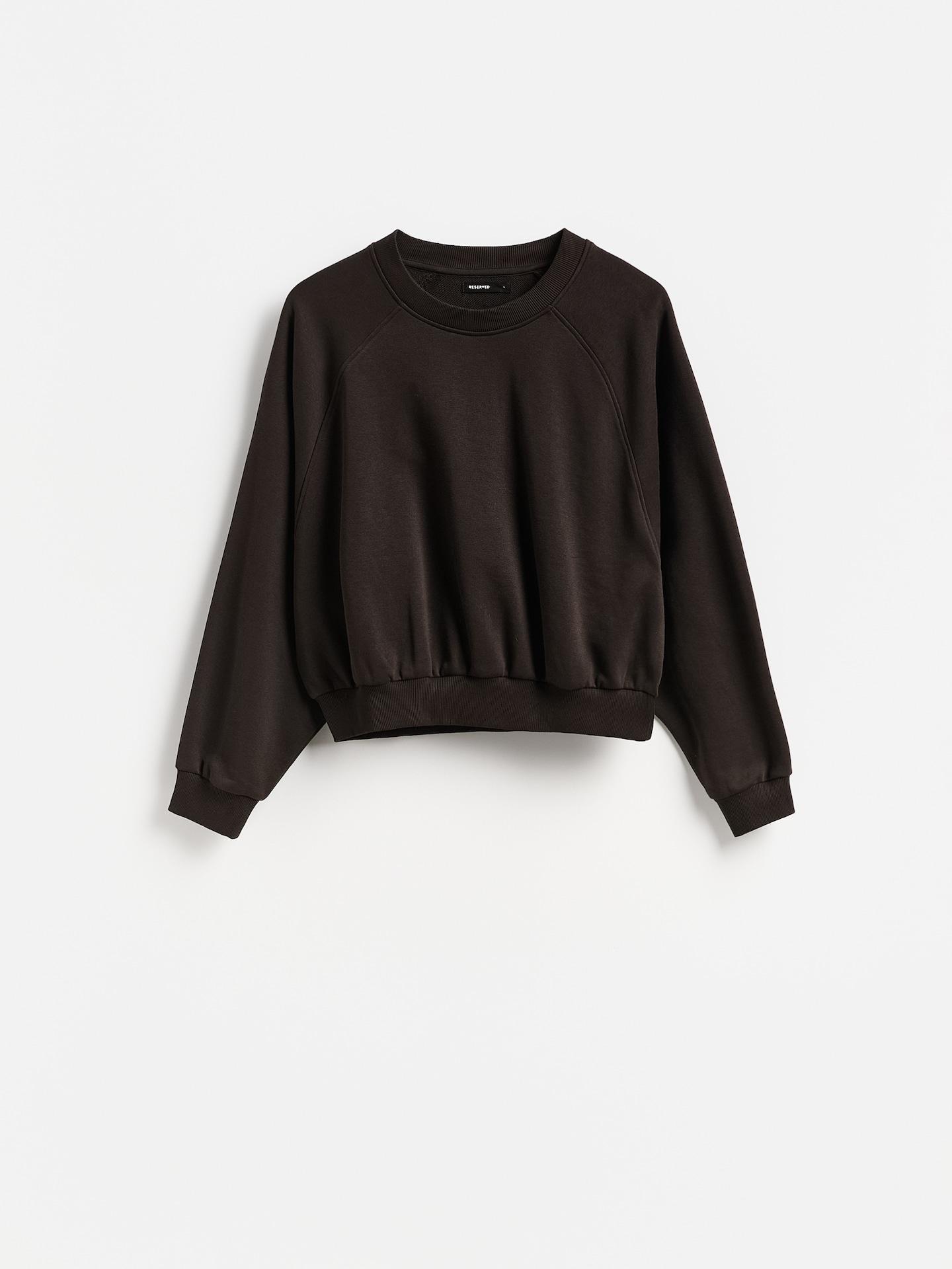 Brown Plain Sweatshirt, Brown, large image number 4