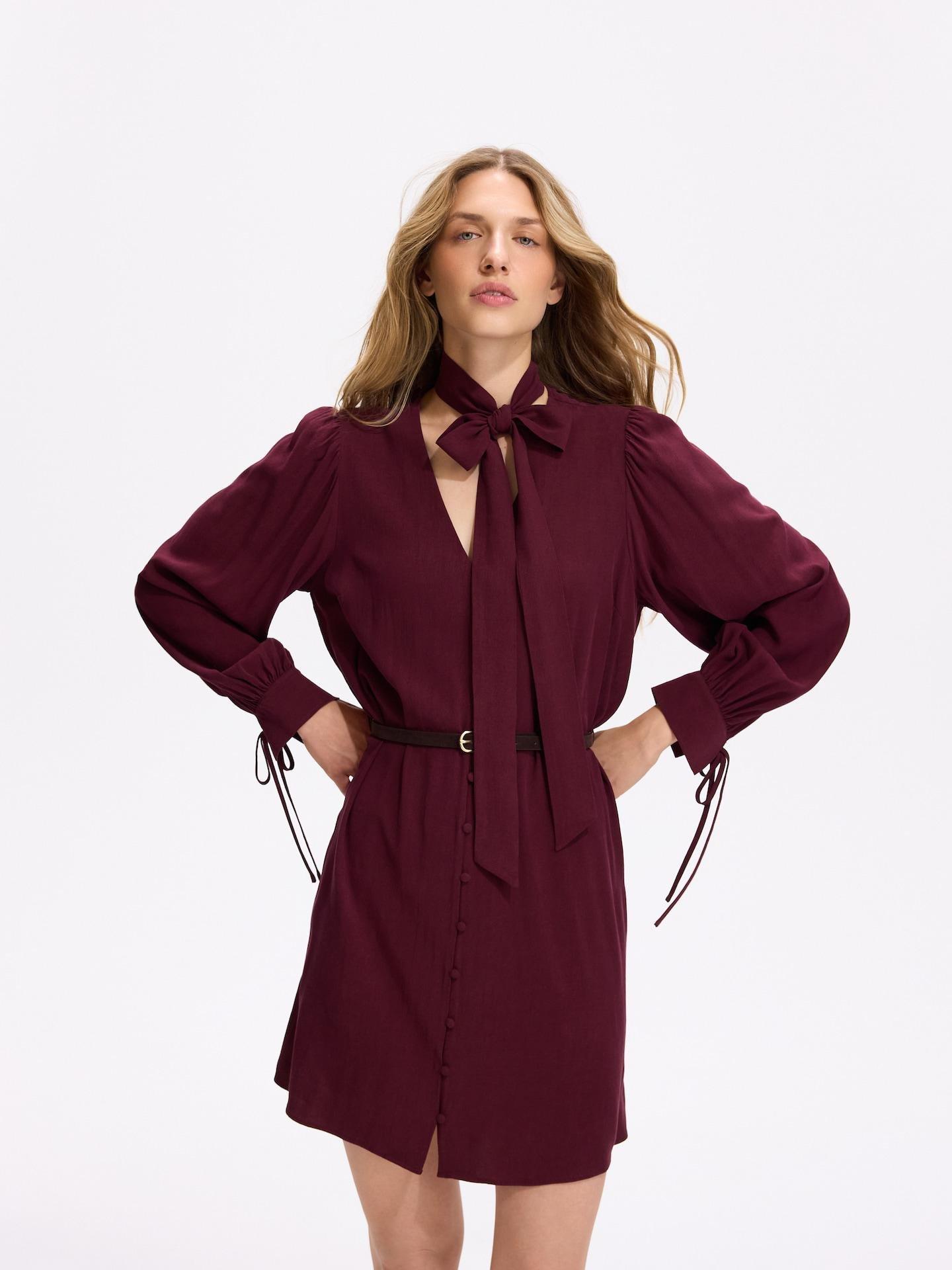 Red Lyocell Rich Mini Dress, Burgundy, large image number 1