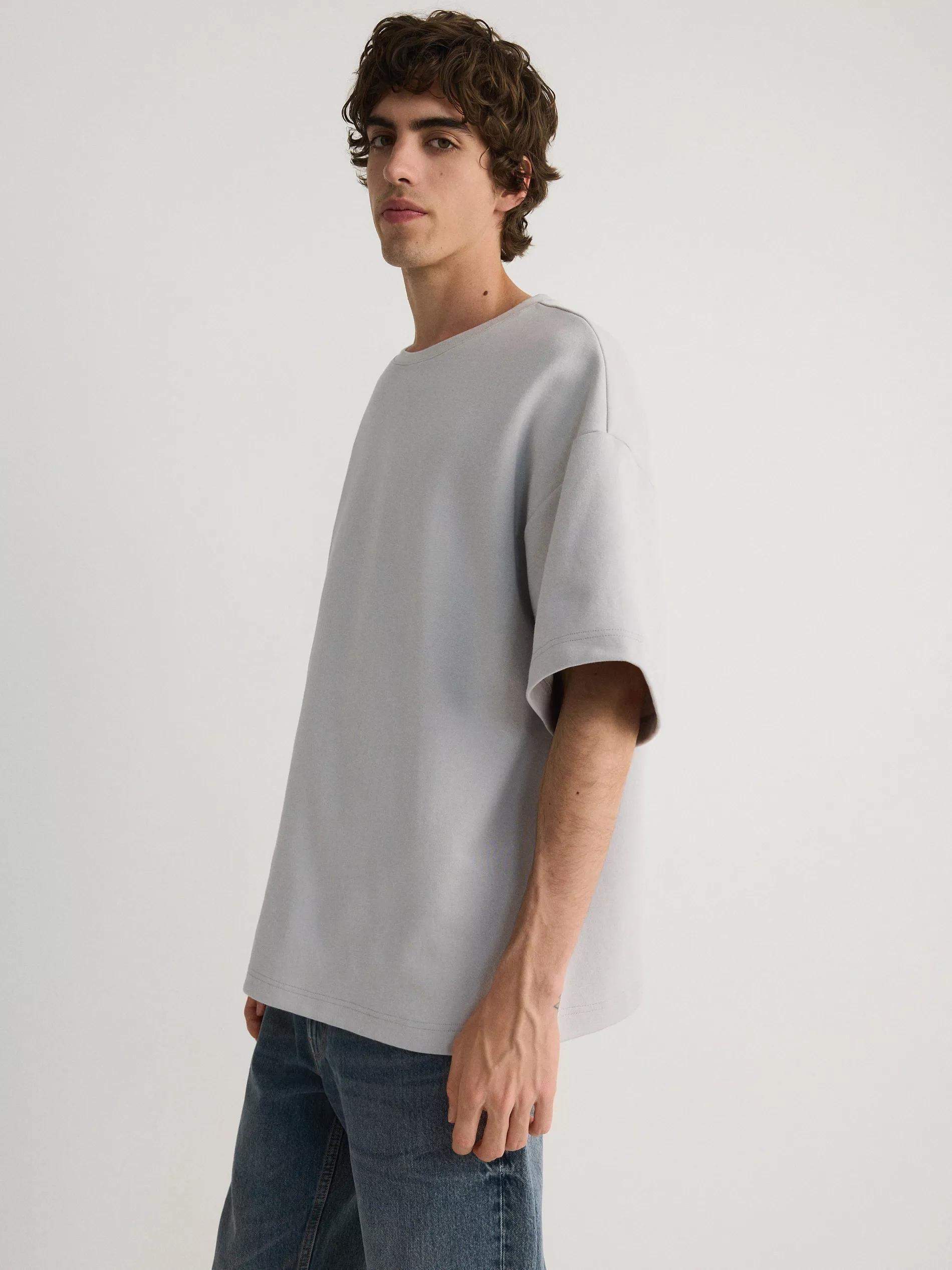 Grey Printed Oversized T-Shirt, , large image number 3