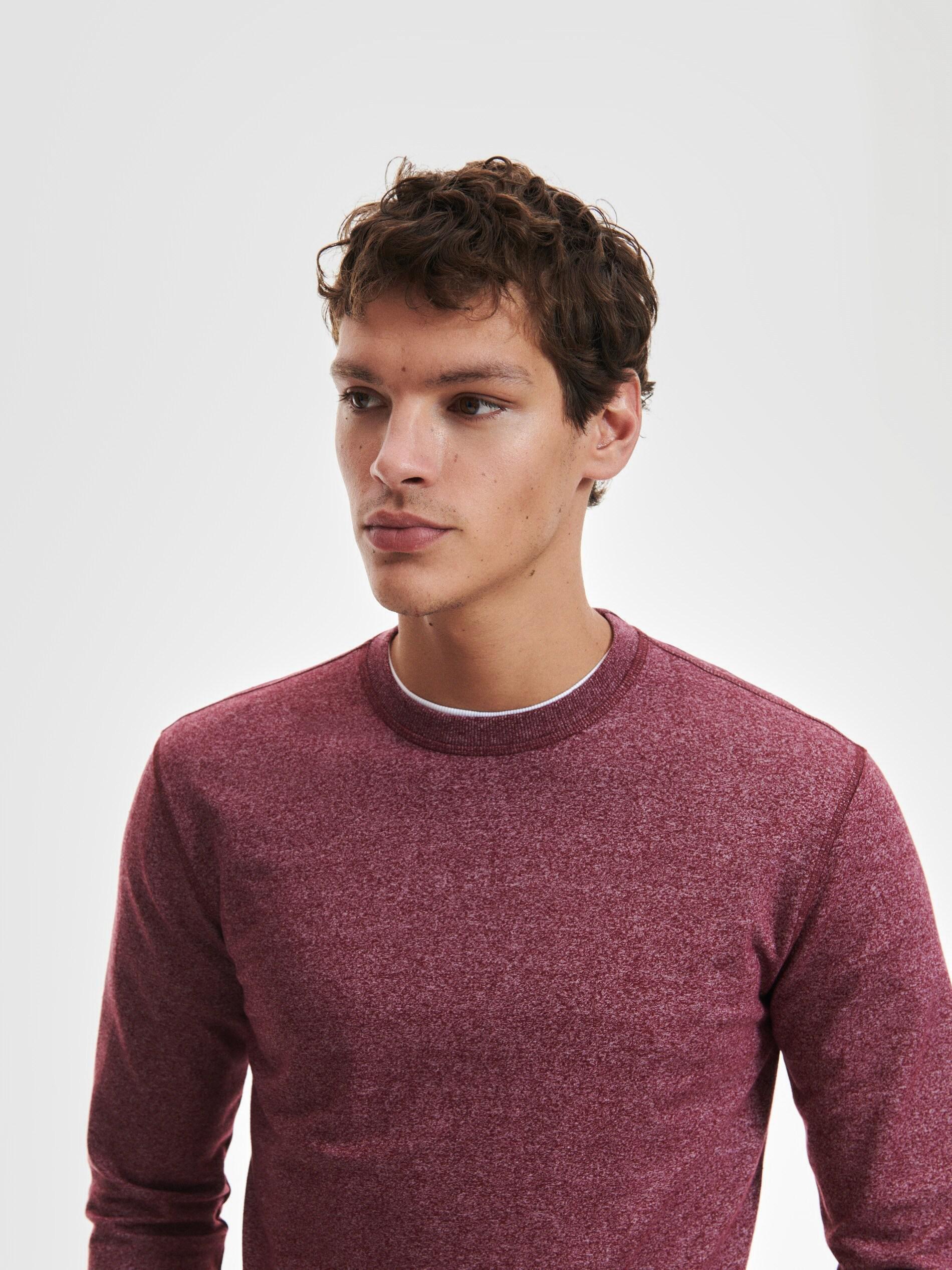 Burgundy Regular Fit T-Shirt, , large image number 2