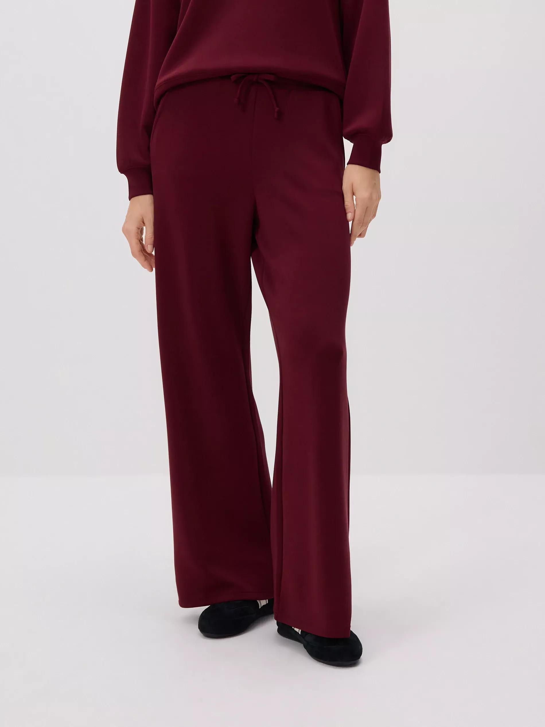 Maroon Modal Sweatpants, , large image number 2