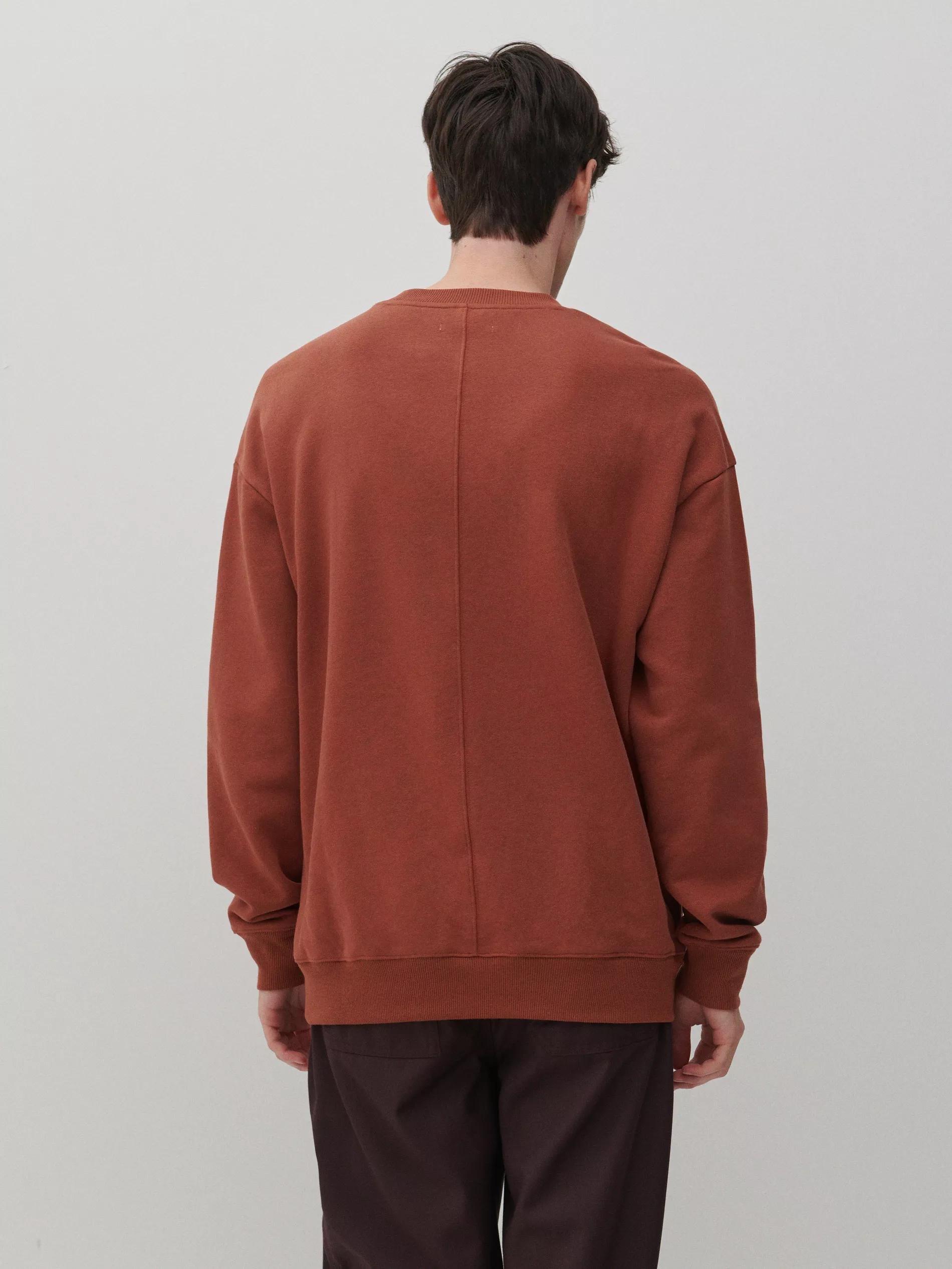Spicy Red Plain Sweatshirt, Men, , large image number 2