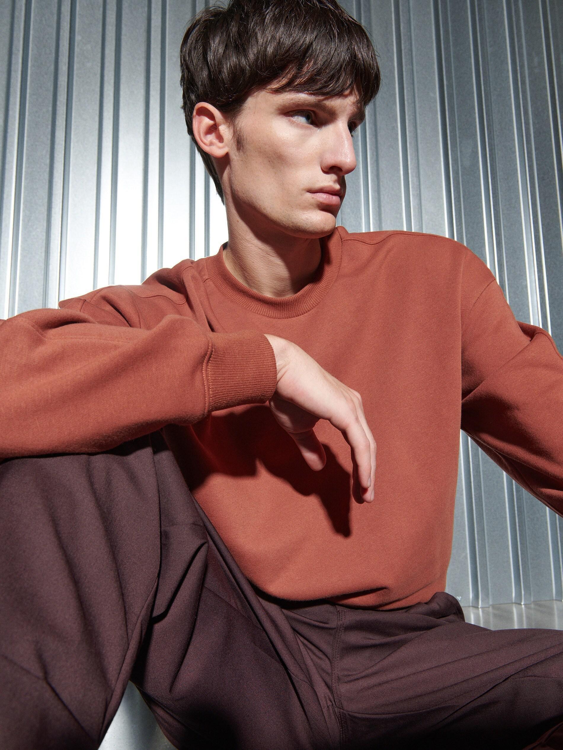 Spicy Red Plain Sweatshirt, Men, , large image number 6