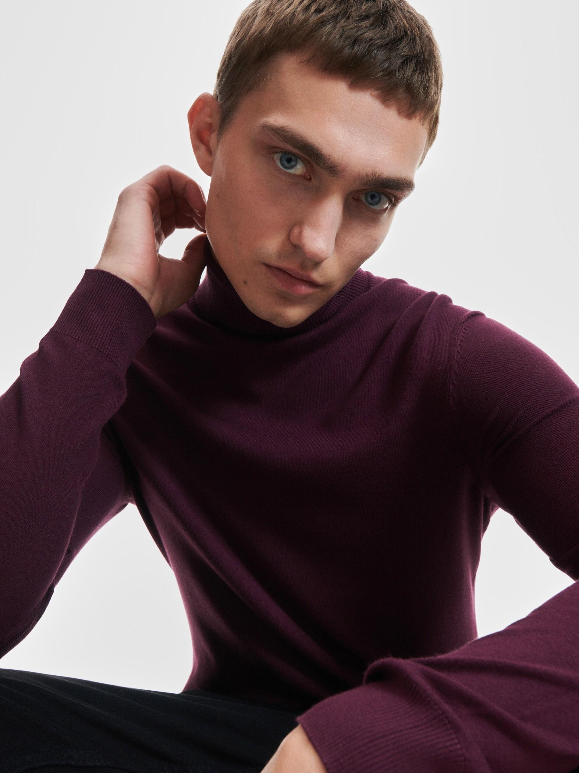 Burgundy Viscose Rich Jersey Turtleneck, , large image number 0