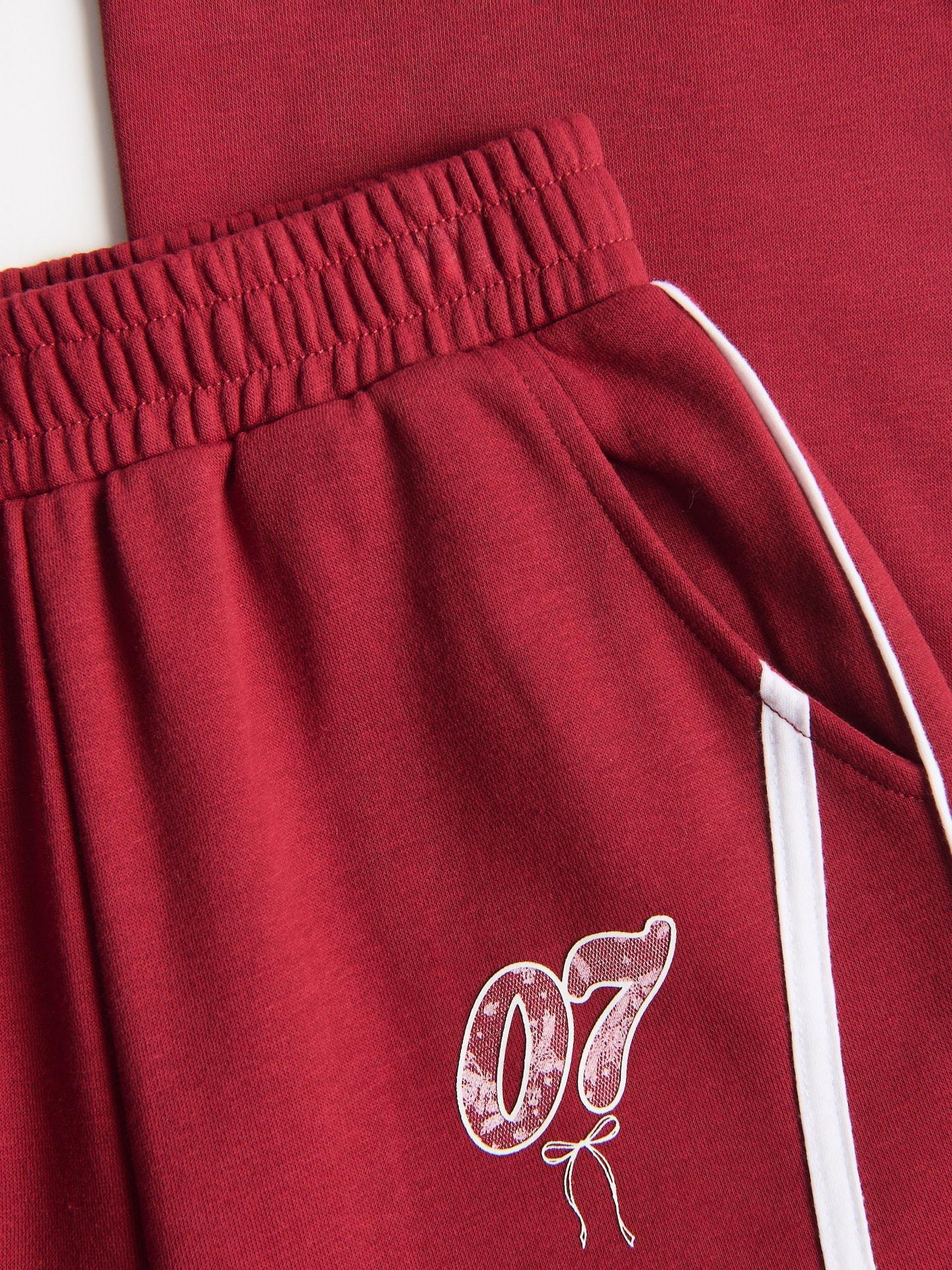 Red Sweatpants With Side Stripes, Burgundy, large image number 1