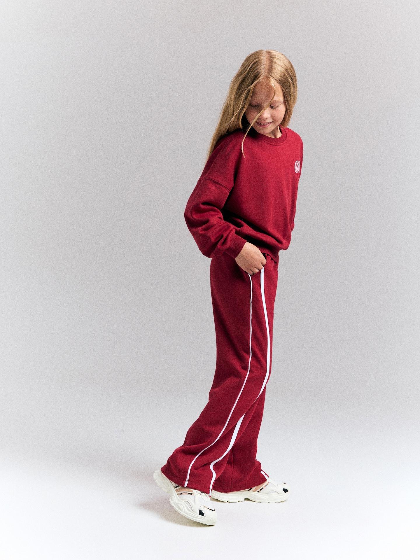 Red Sweatpants With Side Stripes, Burgundy, large image number 2