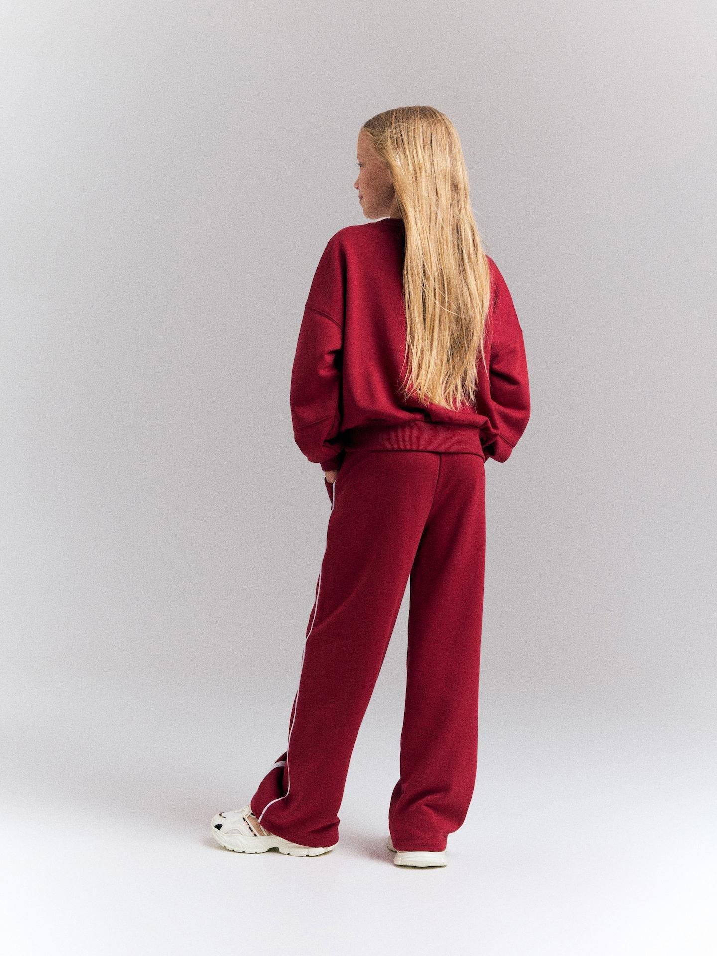 Red Sweatpants With Side Stripes, Burgundy, large image number 4