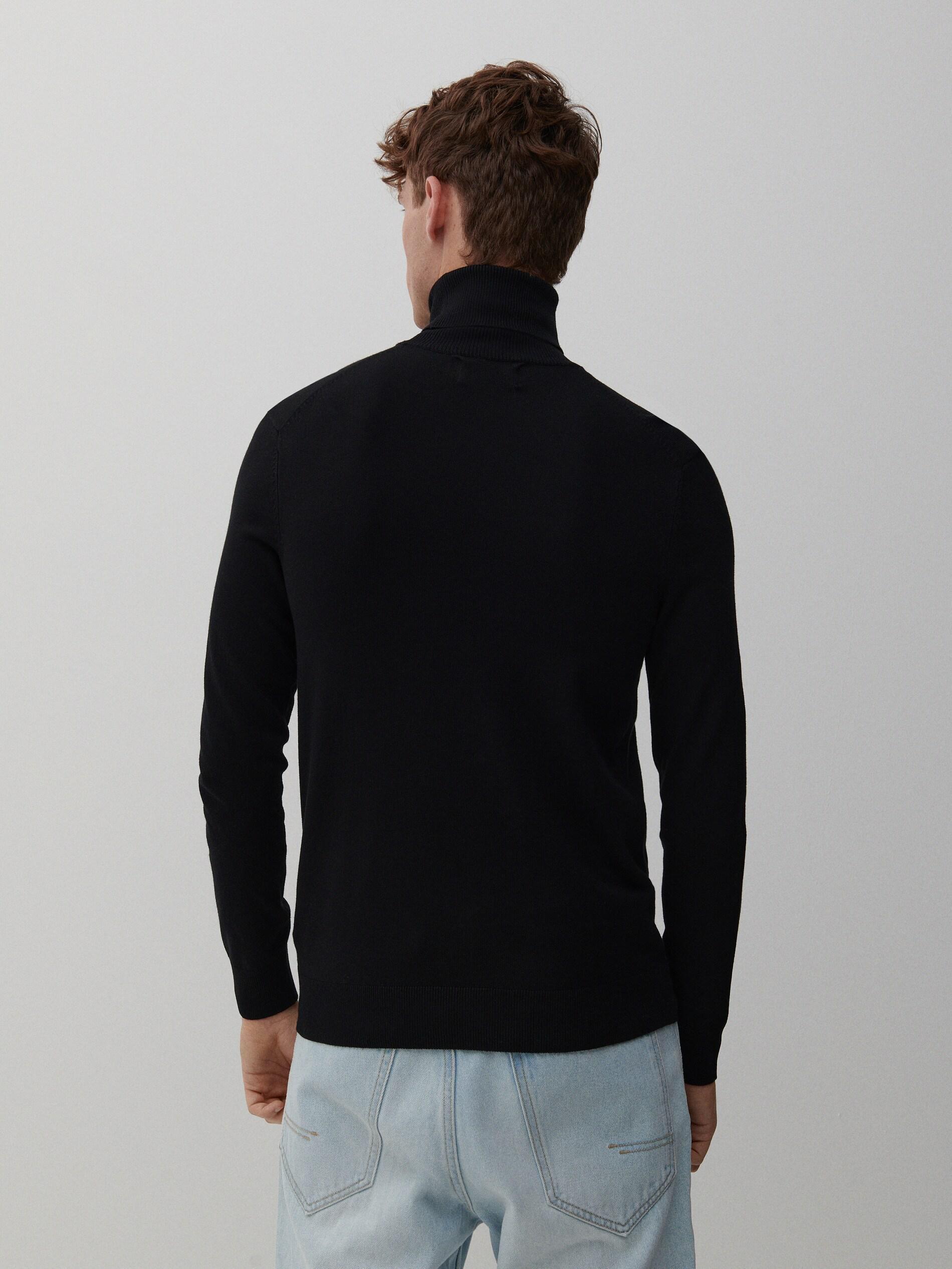 Black Regular Cut Turtleneck Sweater, , large image number 2