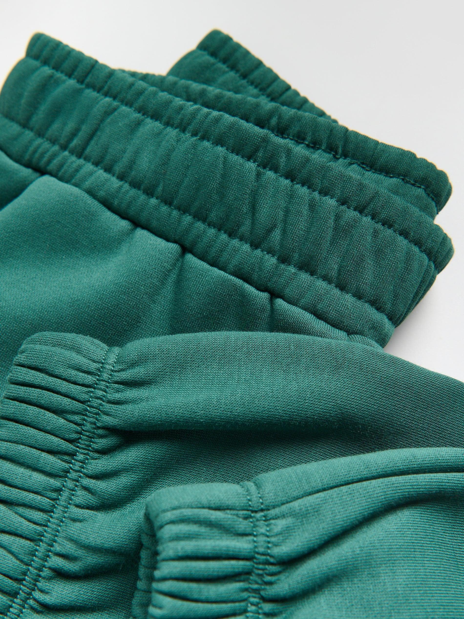 بنطال رياضي أخضر بنسبة قطن عالية, Khaki, large image number 4