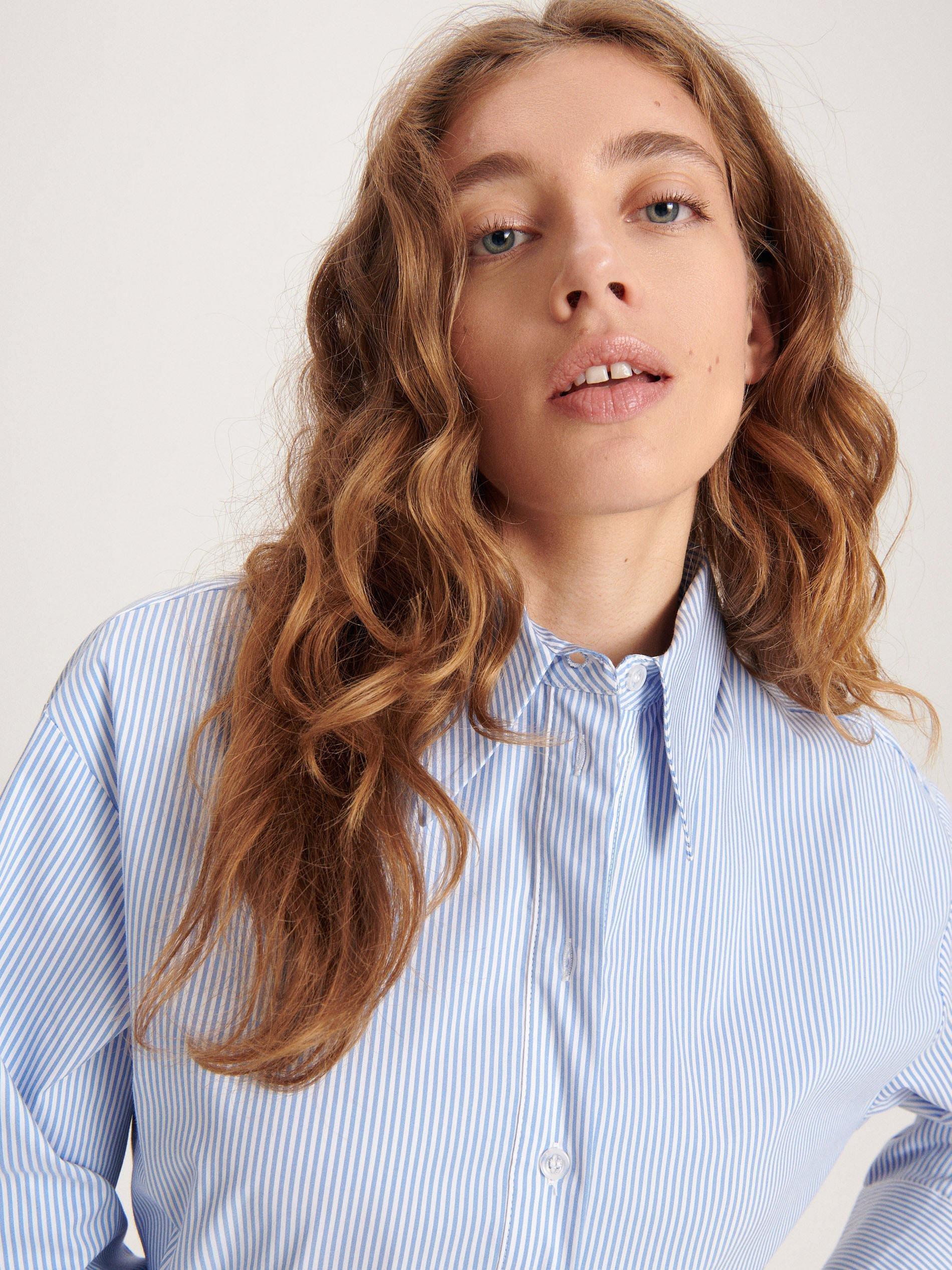 Blue Striped Shirt, , large image number 1