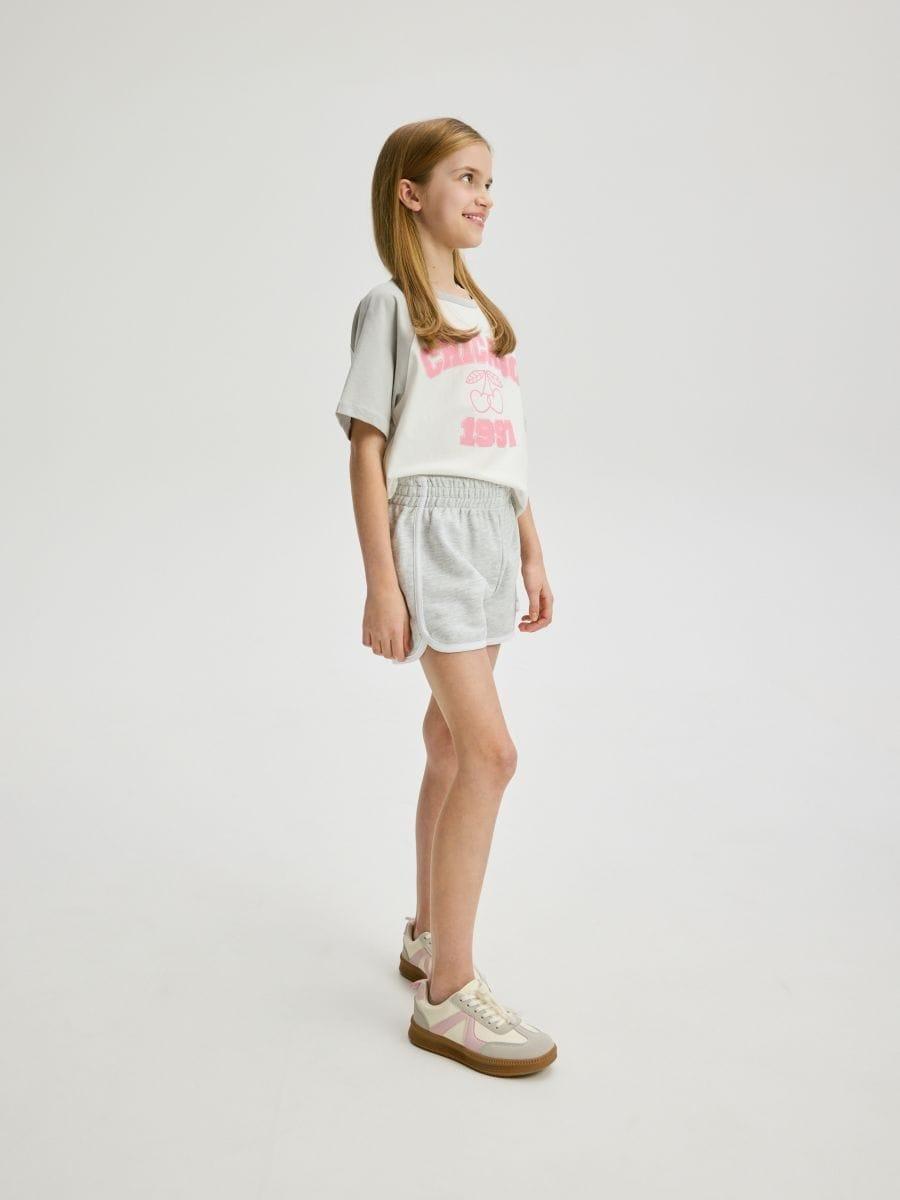 Grey Sweat Shorts With Side Stripes, , large image number 0